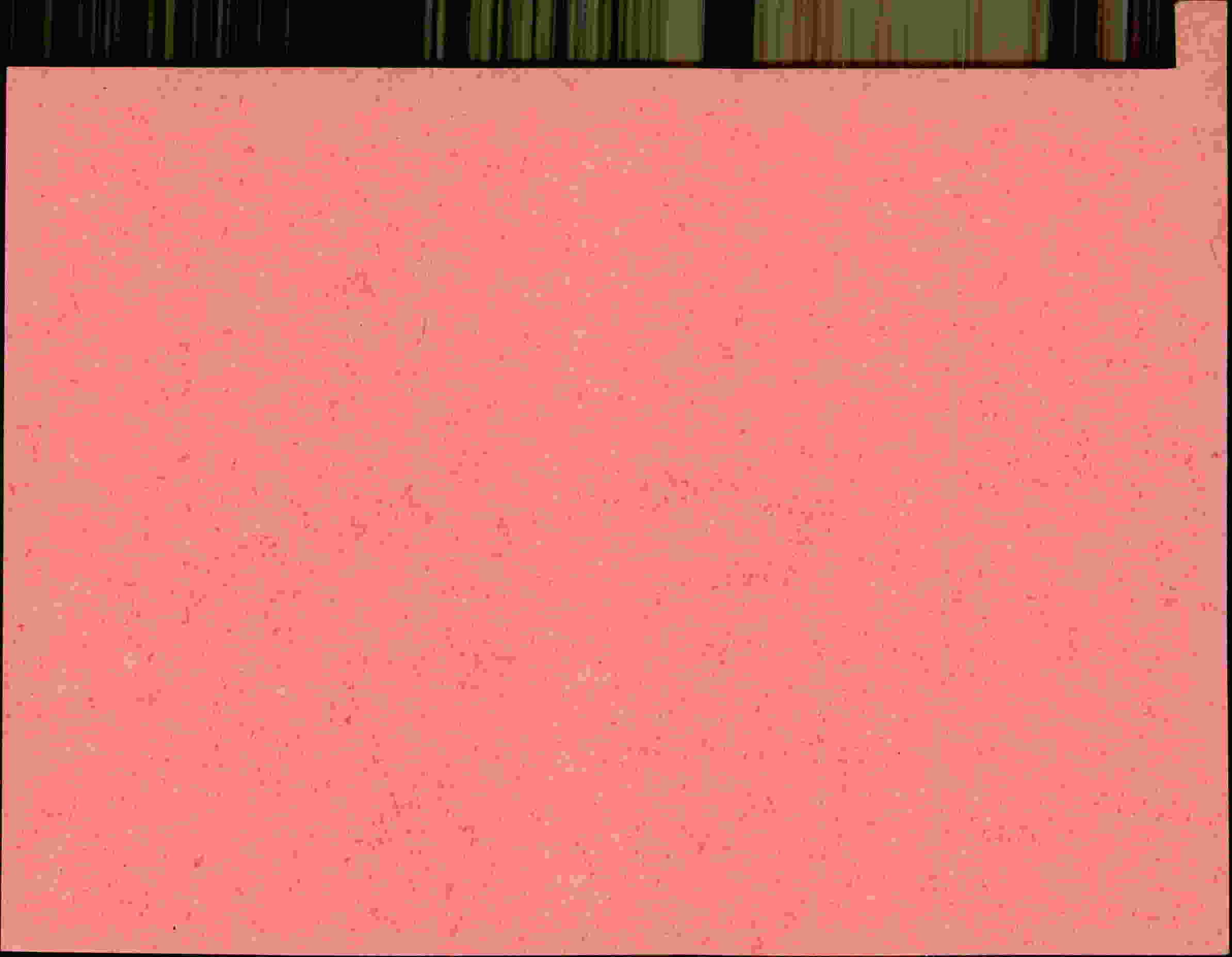 Rückseite des Dokuments