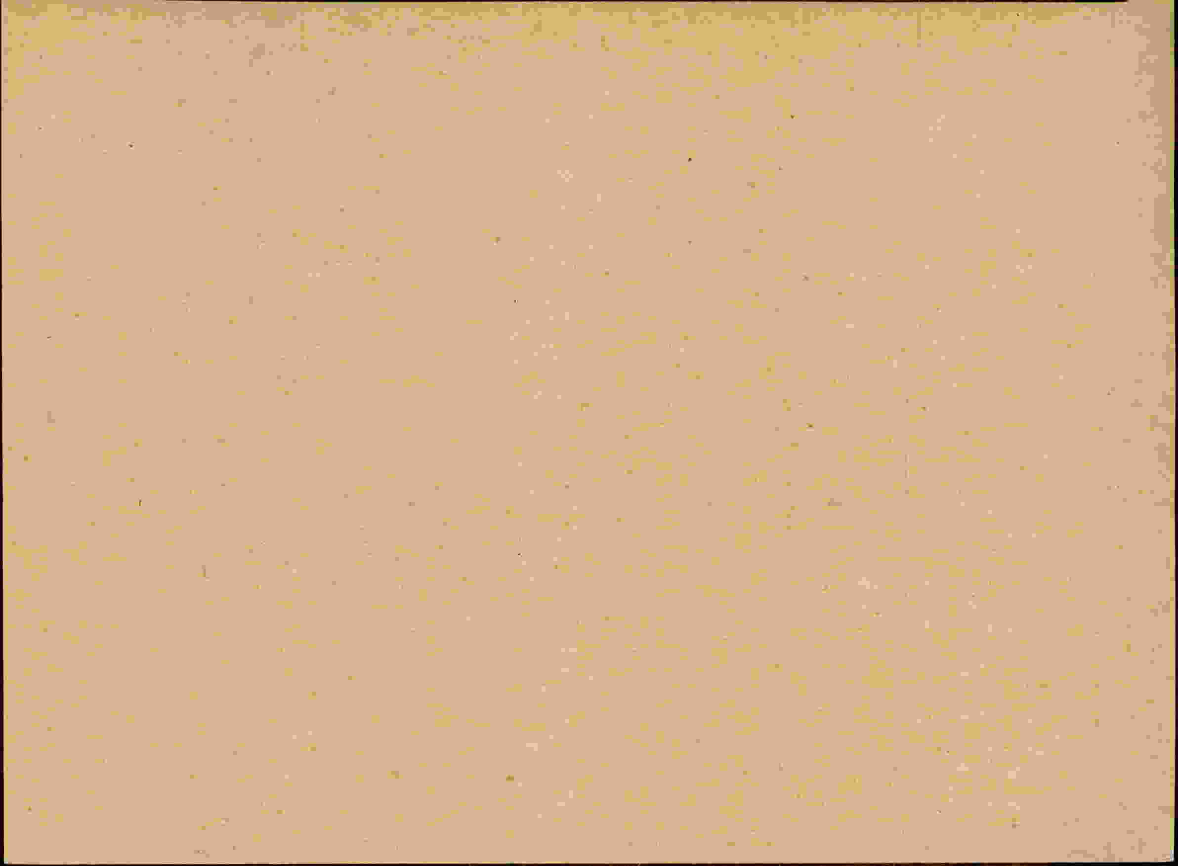 Rückseite des Dokuments