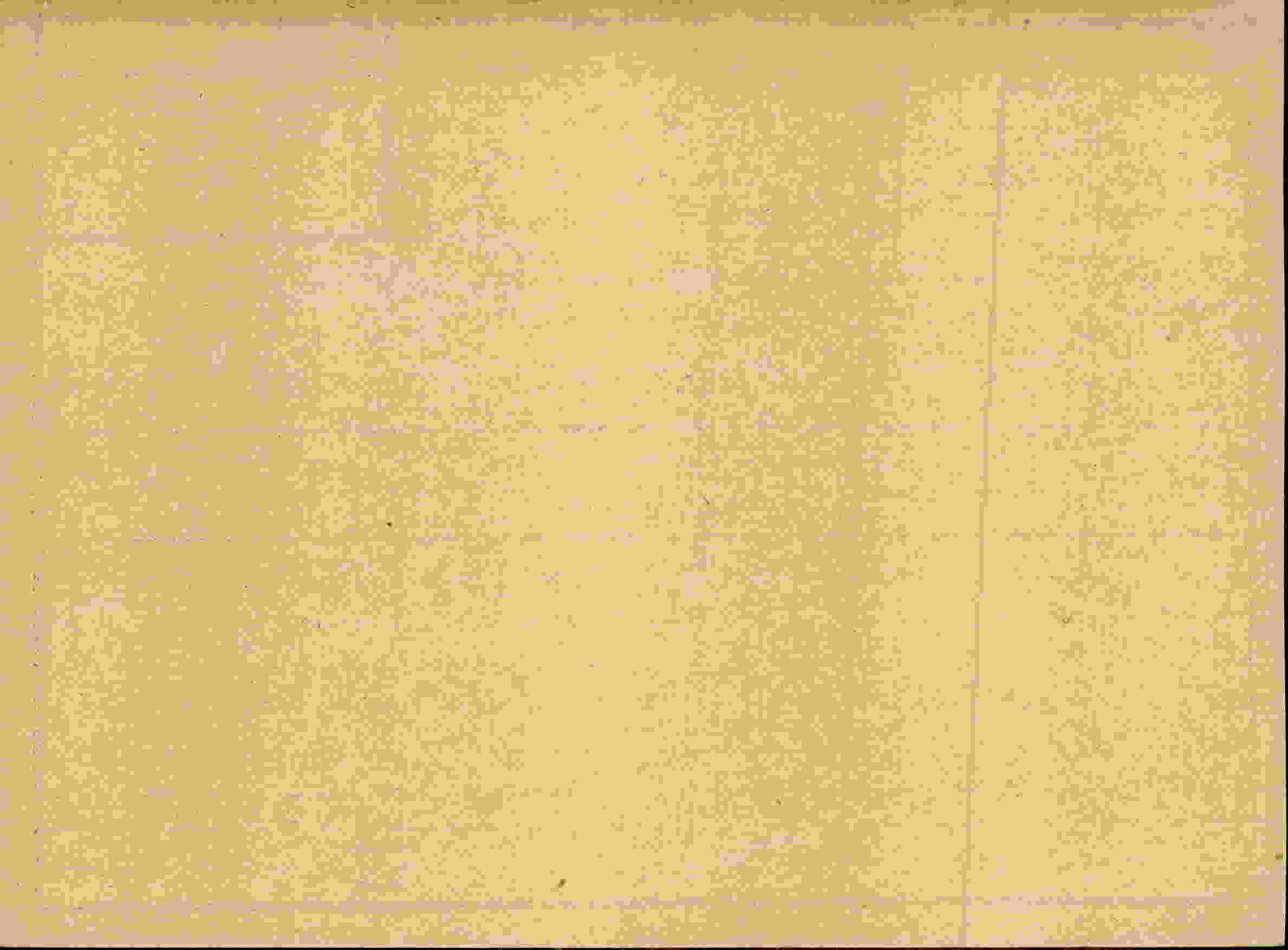 Rückseite des Dokuments