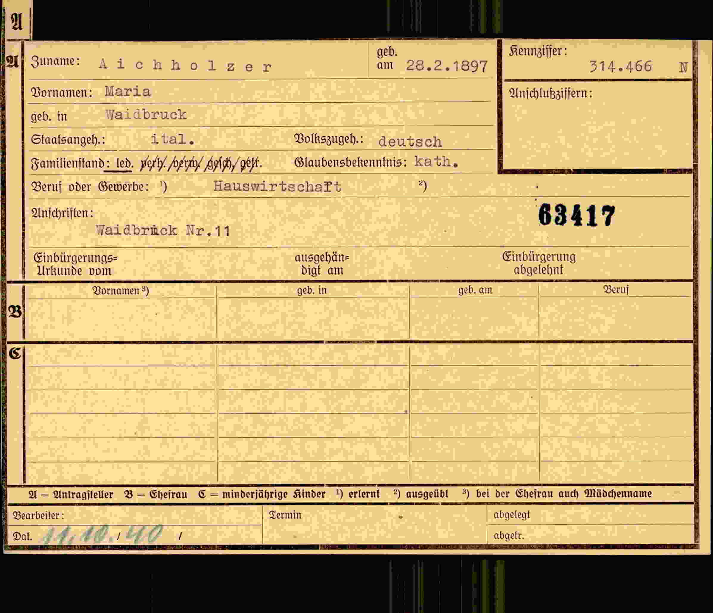 Dokument für Maria Aichholzer