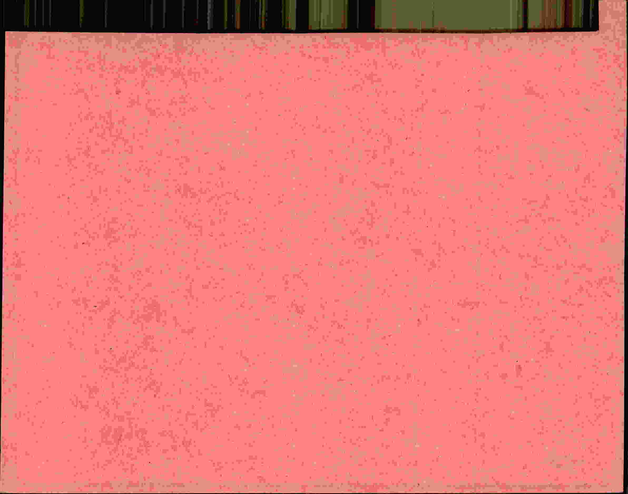 Rückseite des Dokuments