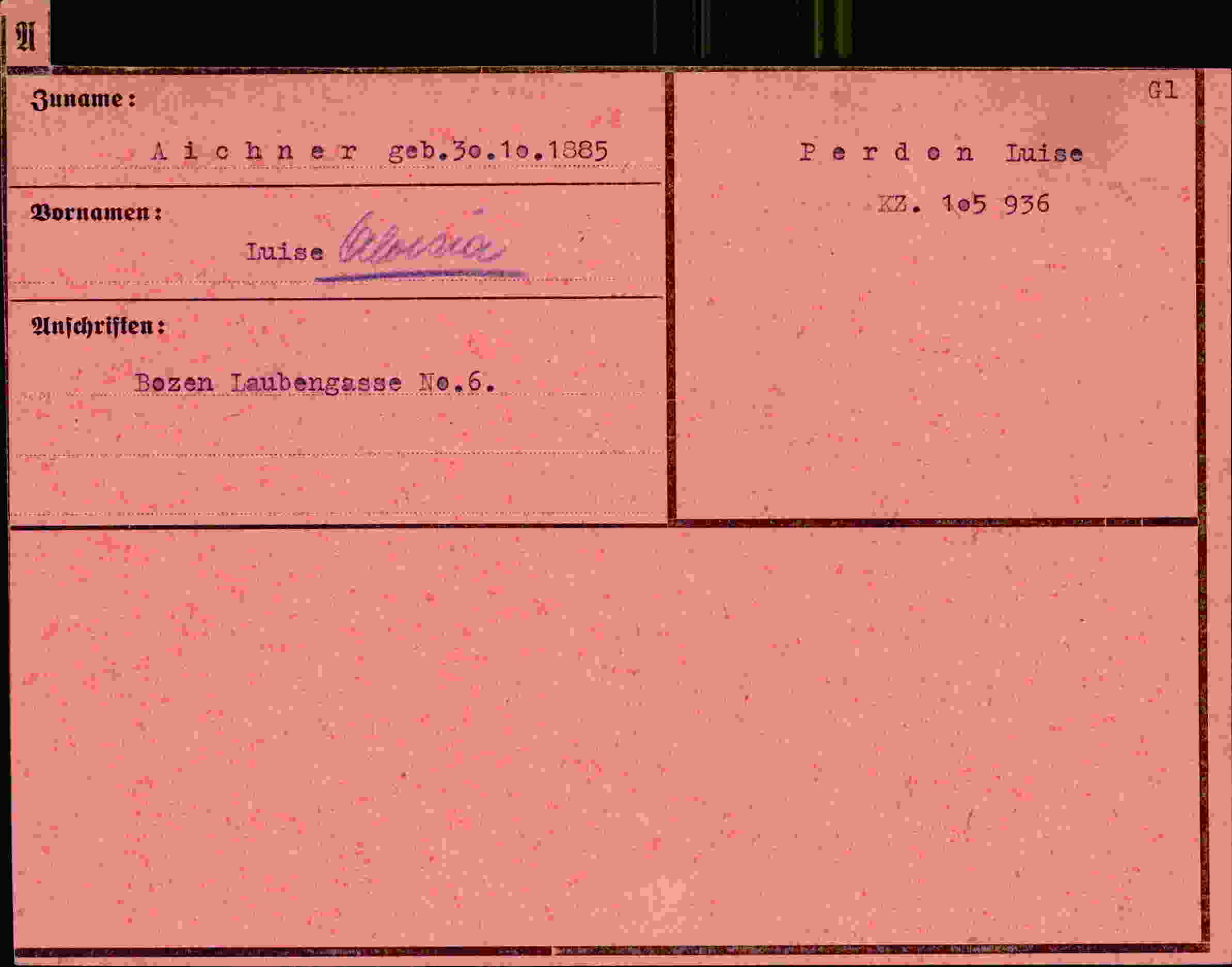 Dokument für Luise Aloisia Aichner