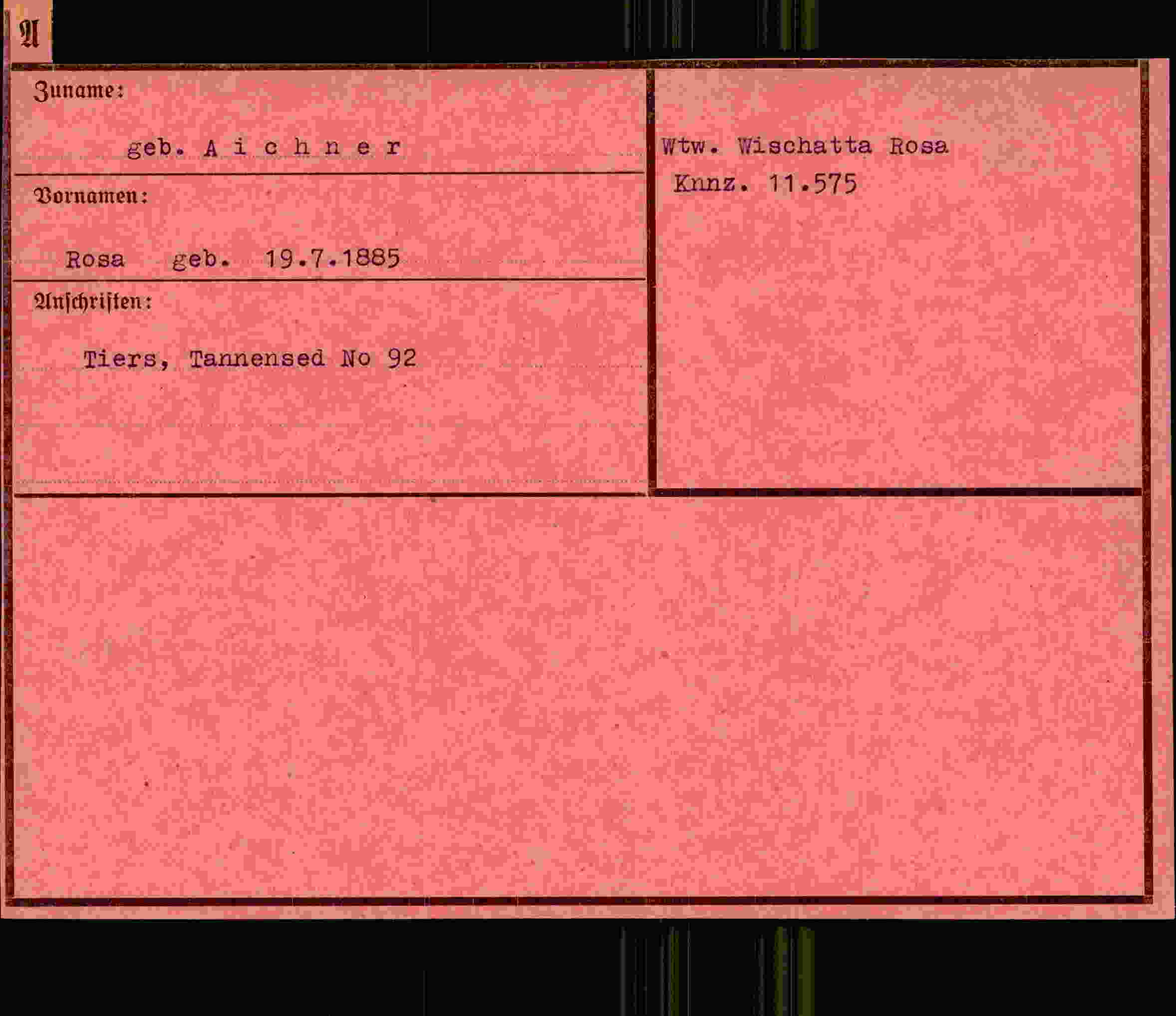 Dokument für Rosa Aichner