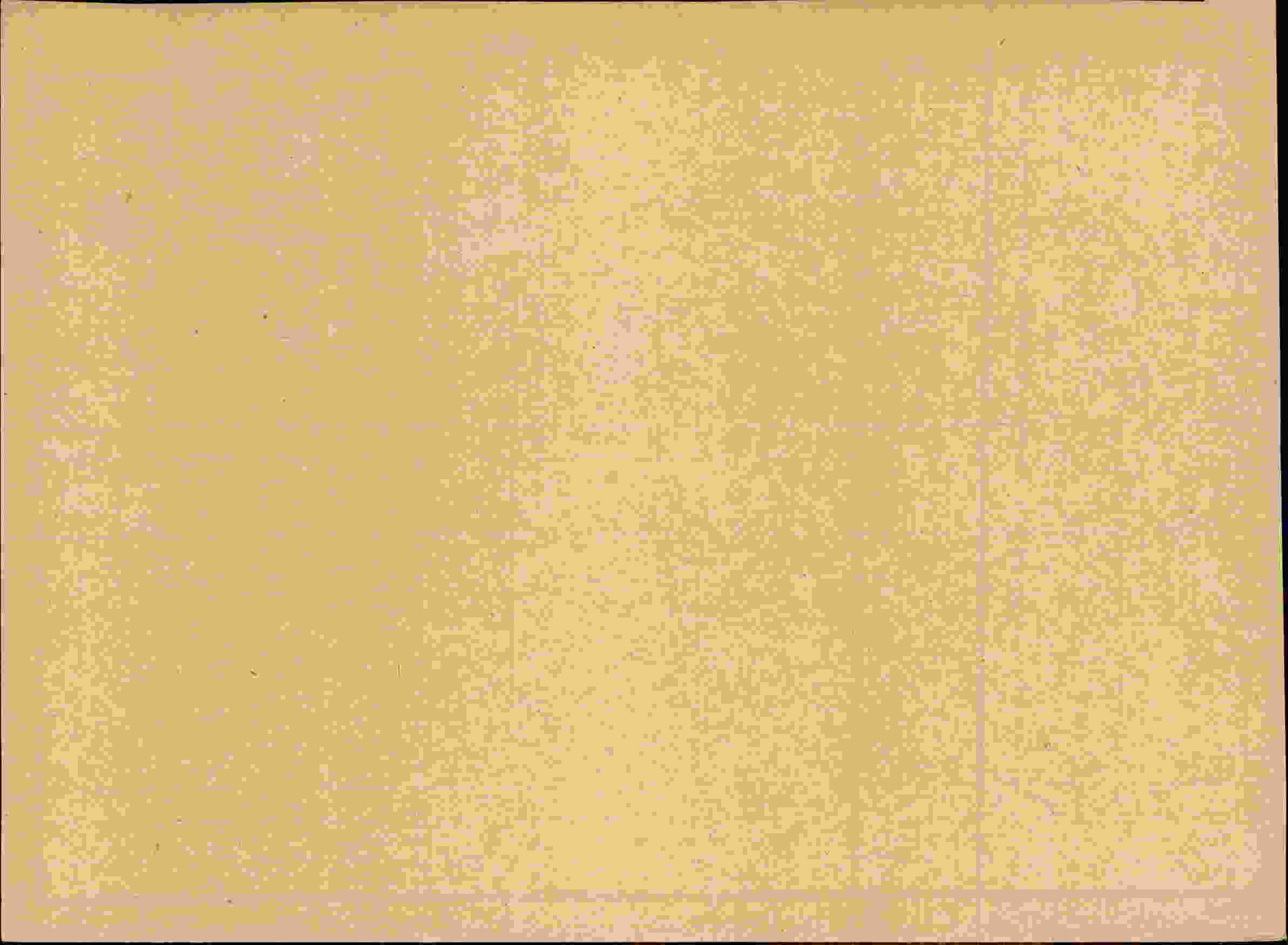 Rückseite des Dokuments