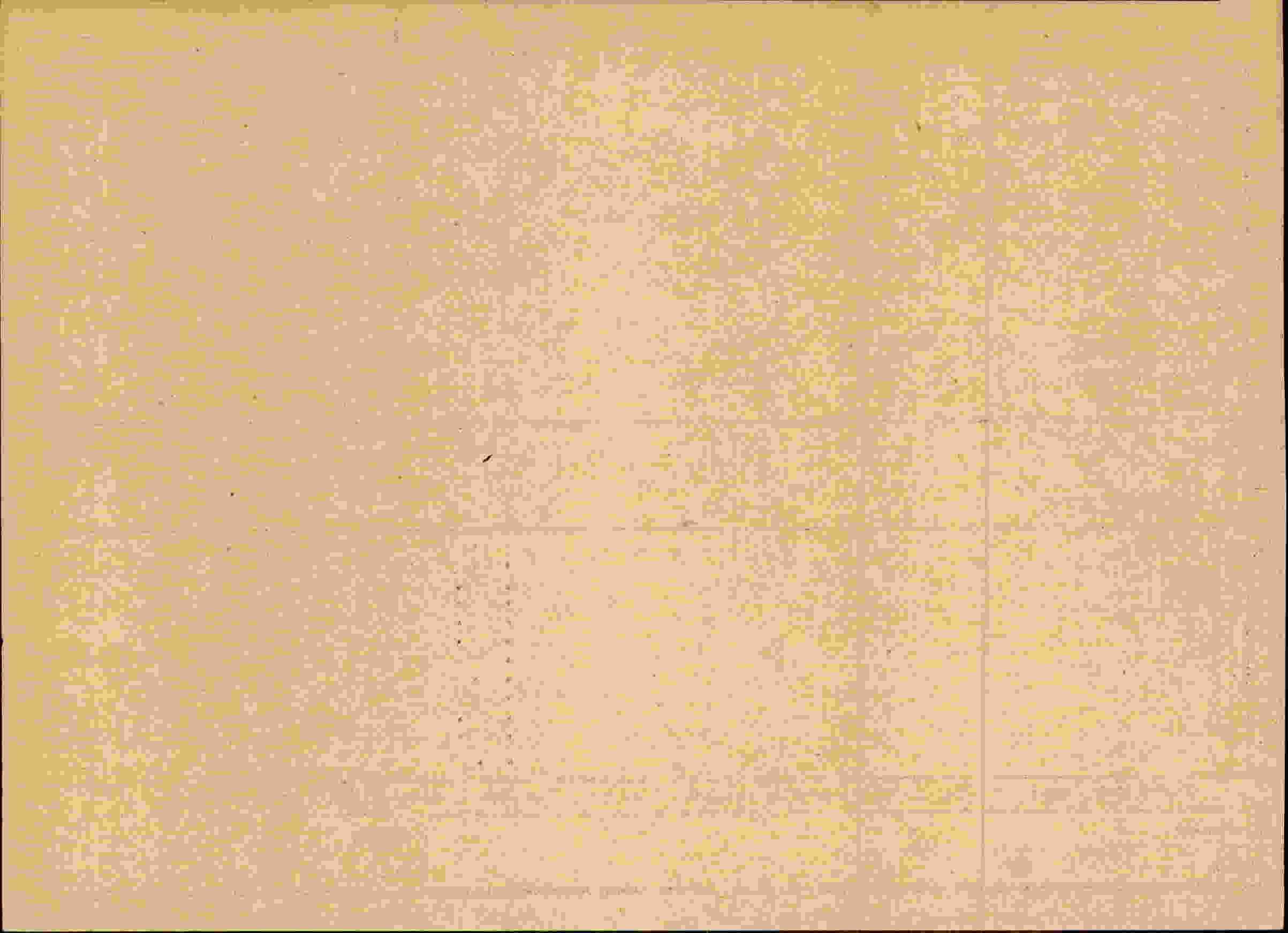 Rückseite des Dokuments