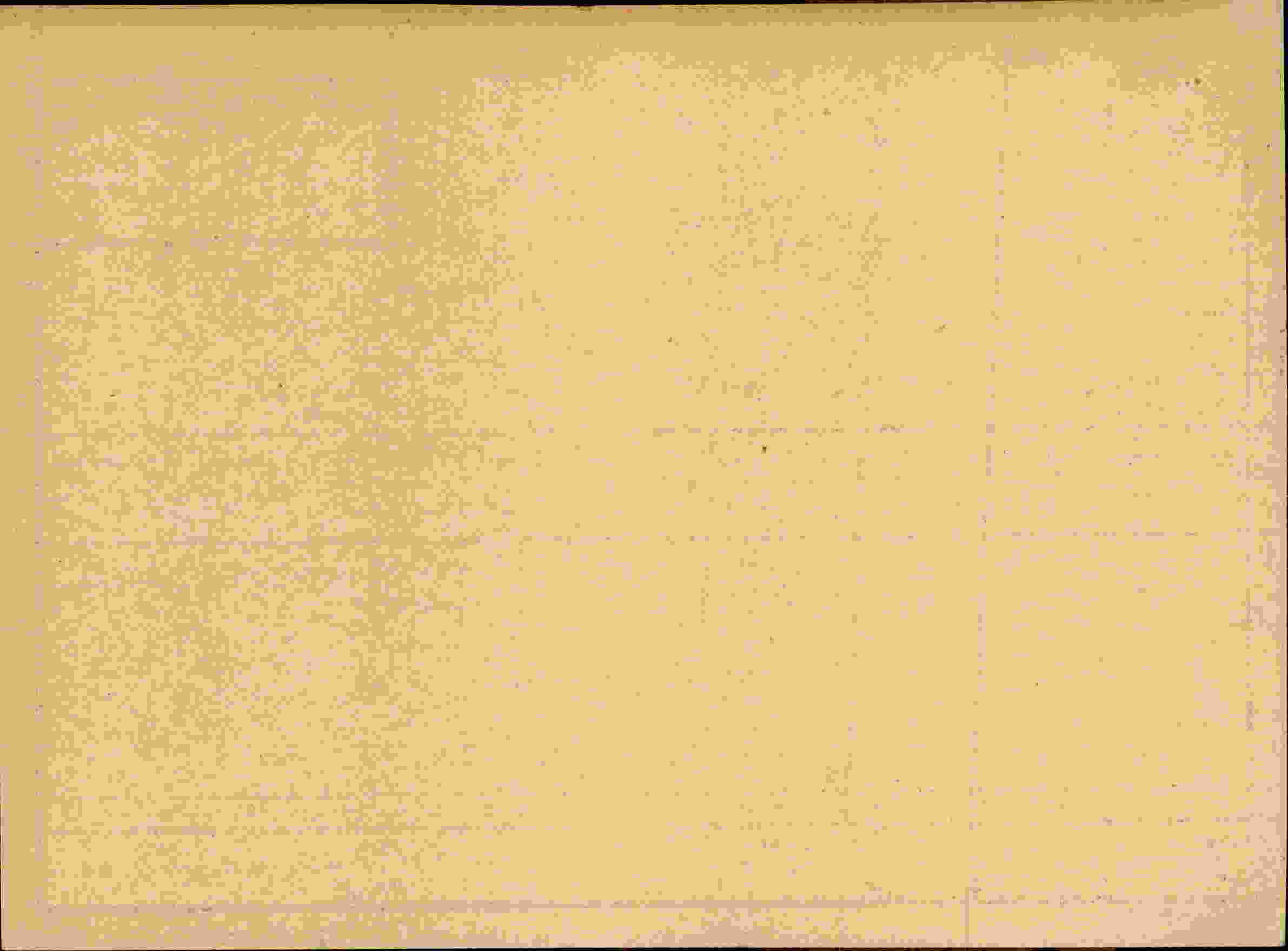 Rückseite des Dokuments