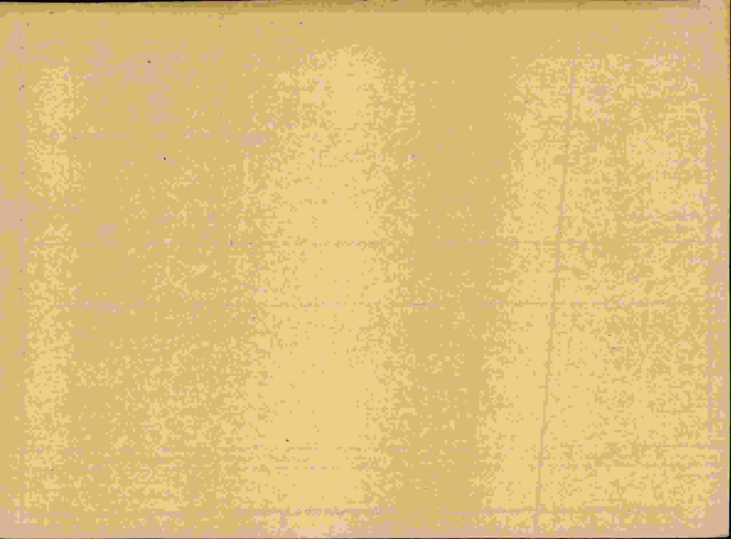 Rückseite des Dokuments