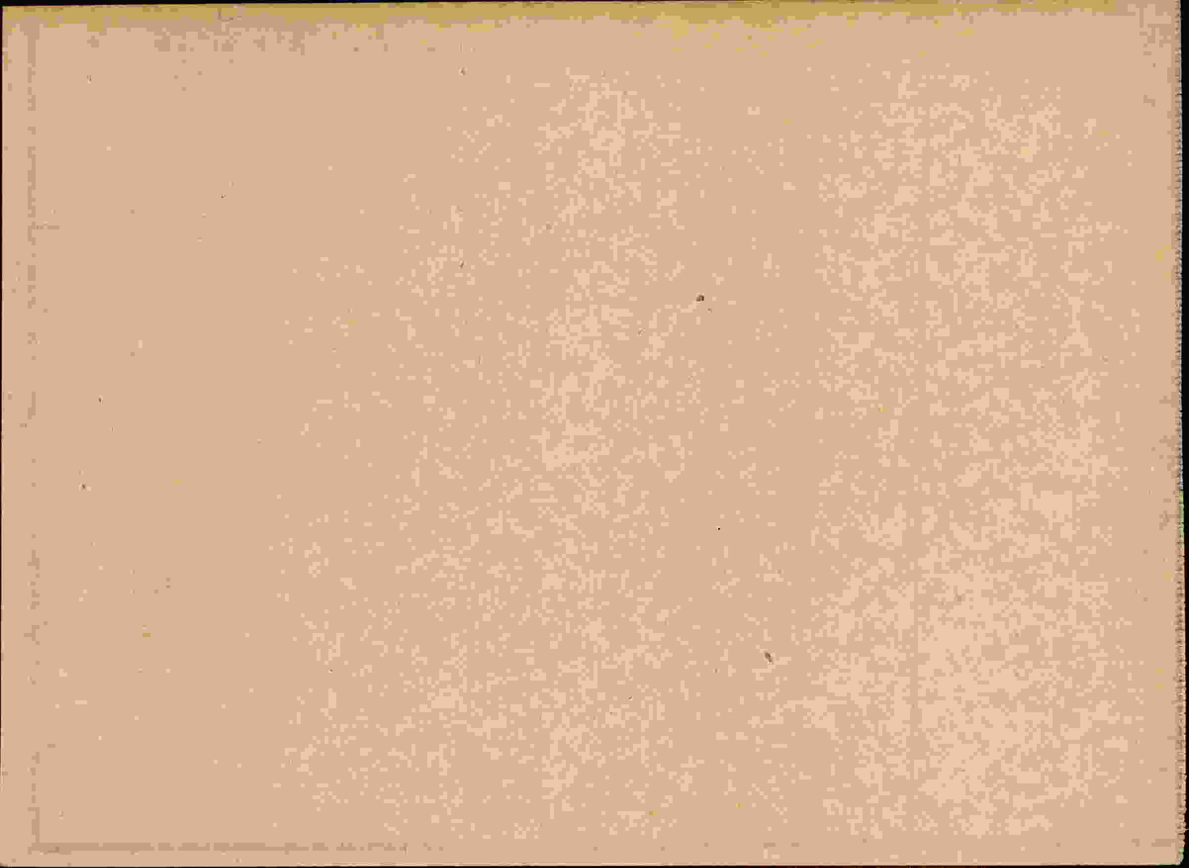 Rückseite des Dokuments