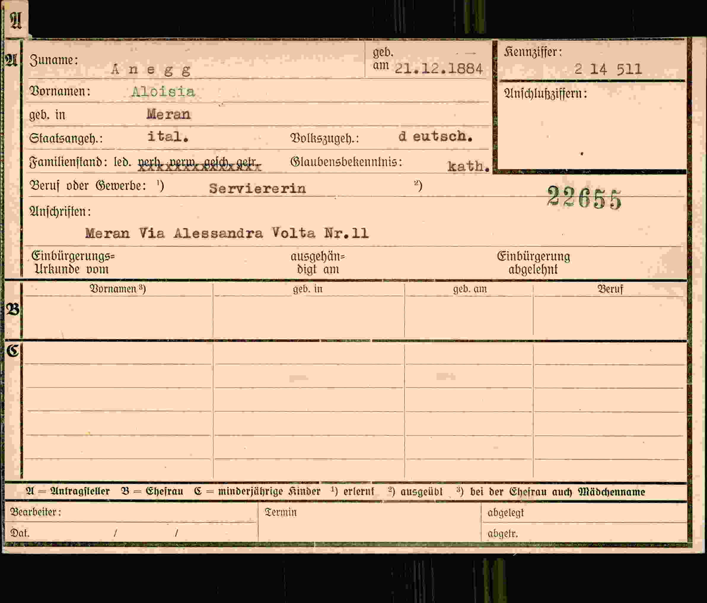 Dokument für Aloisia Anegg
