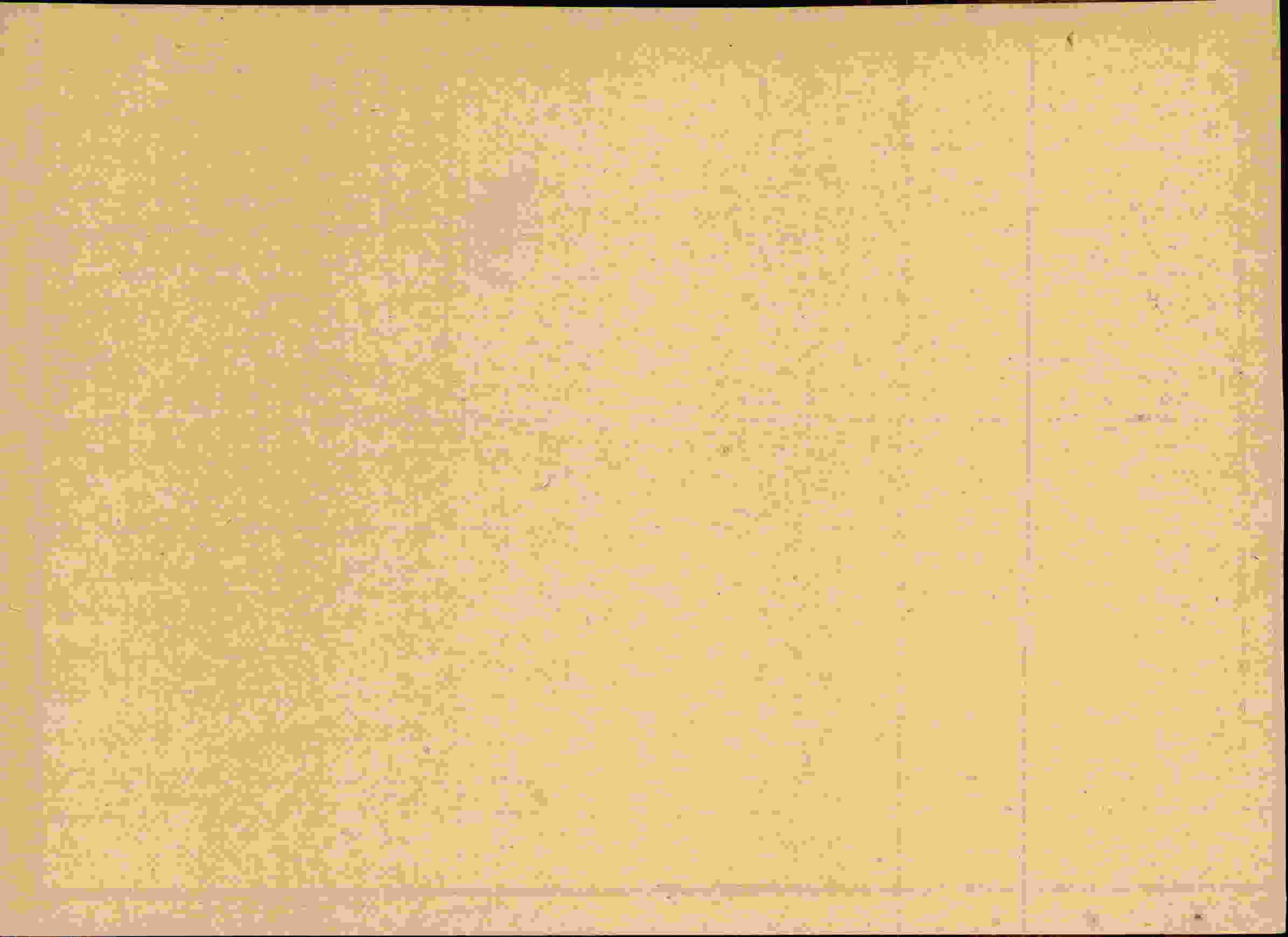 Rückseite des Dokuments