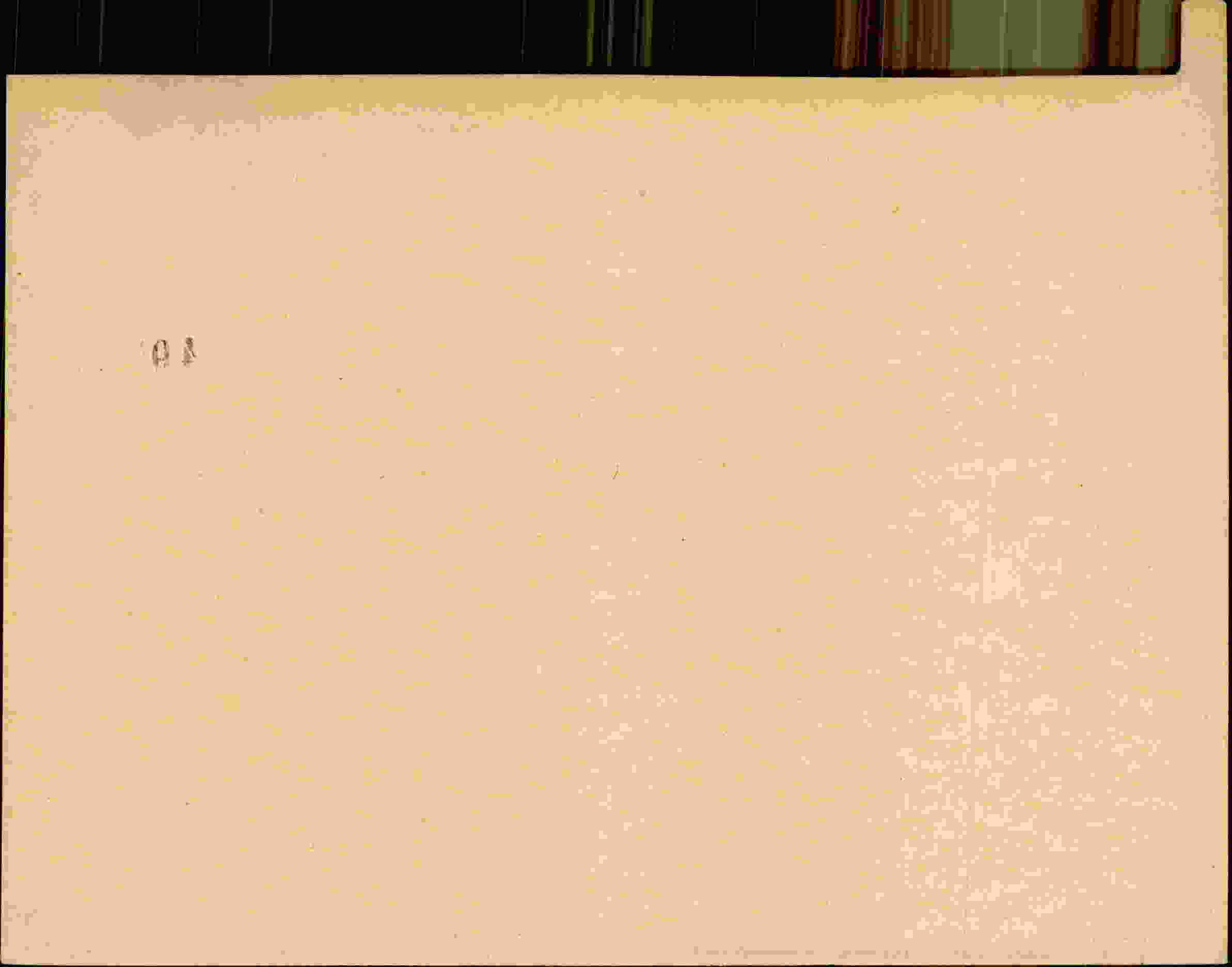 Rückseite des Dokuments