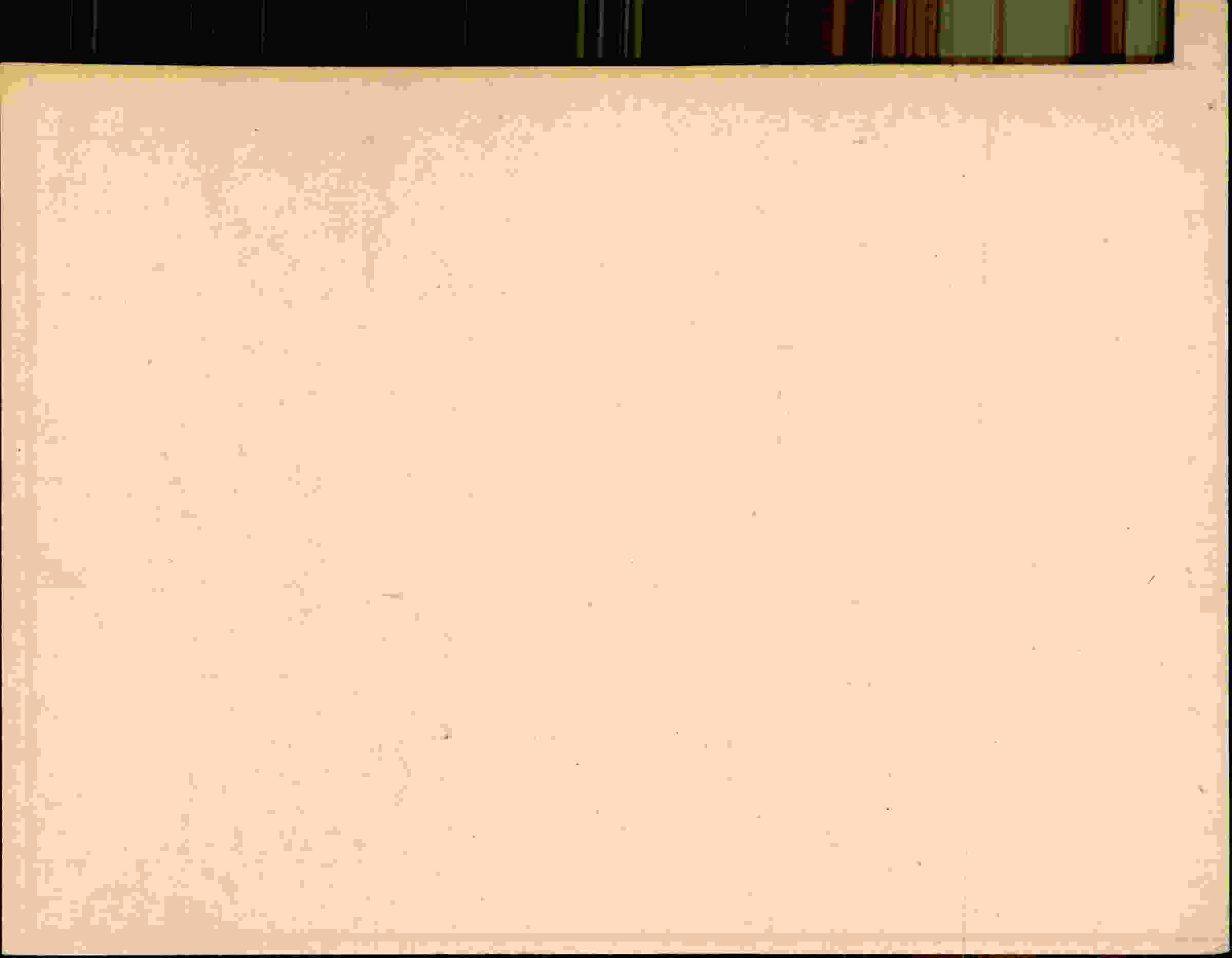 Rückseite des Dokuments