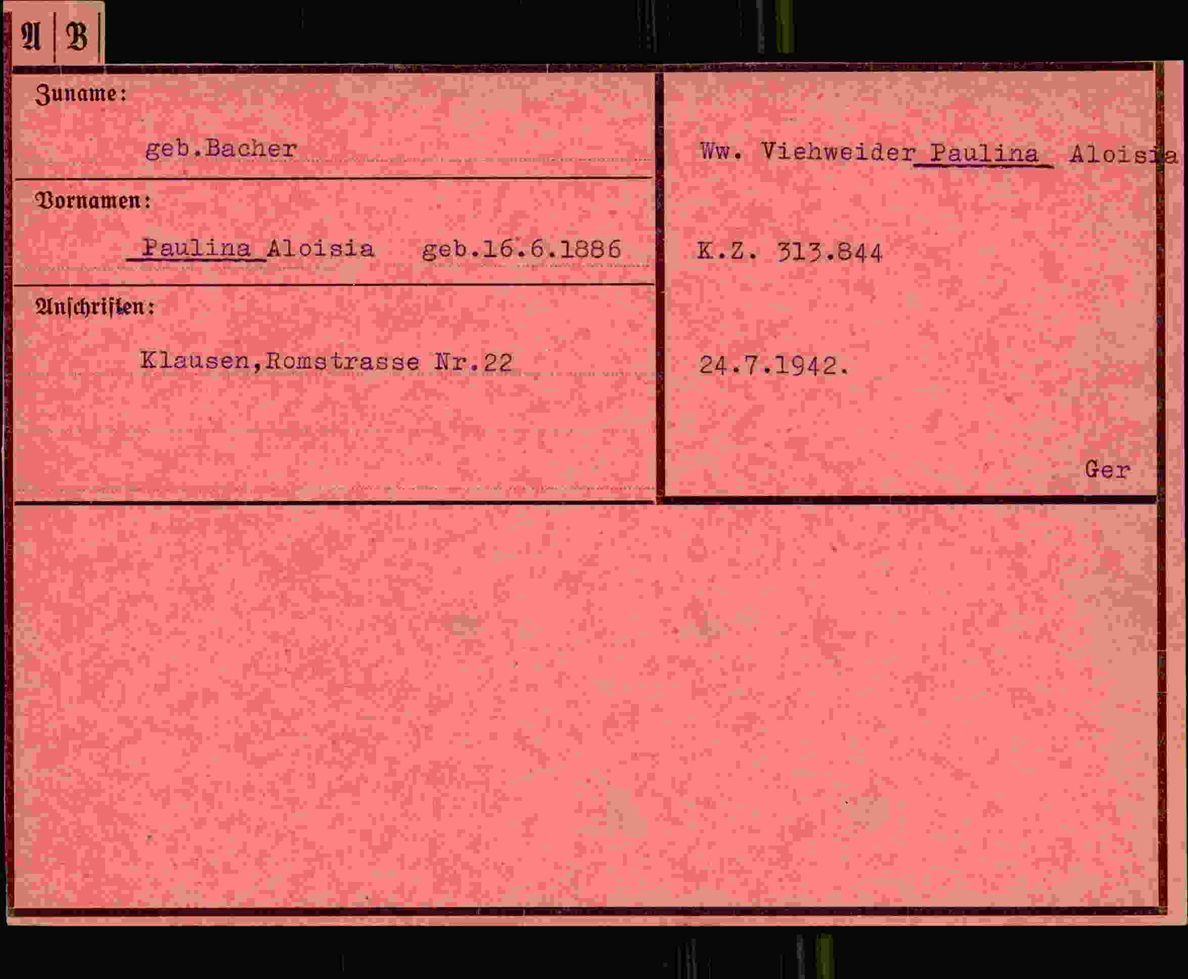 Dokument für Paulina Aloisia Bacher