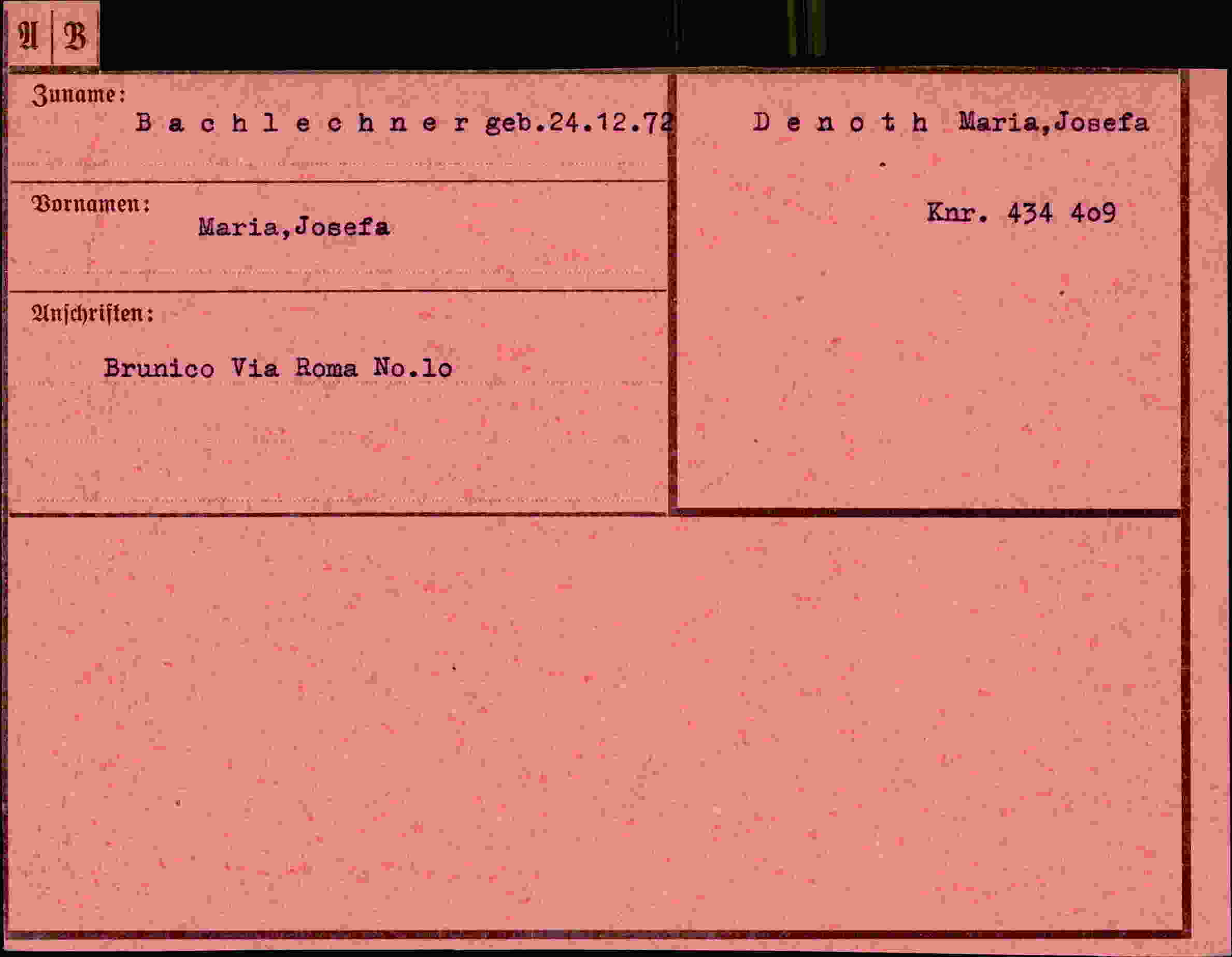 Dokument für Maria Josefa Bachlechner