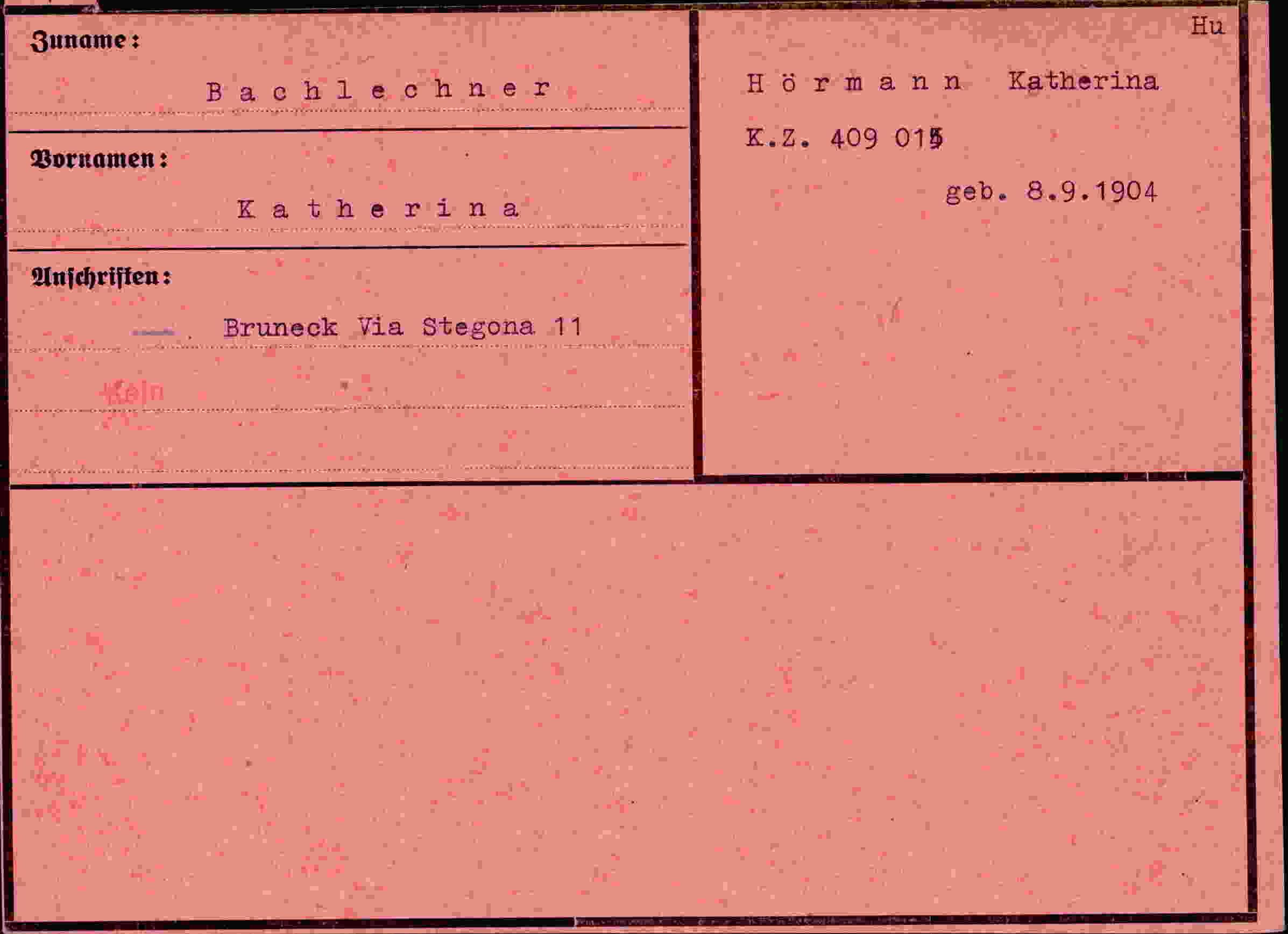 Dokument für Katherina Bachlechner