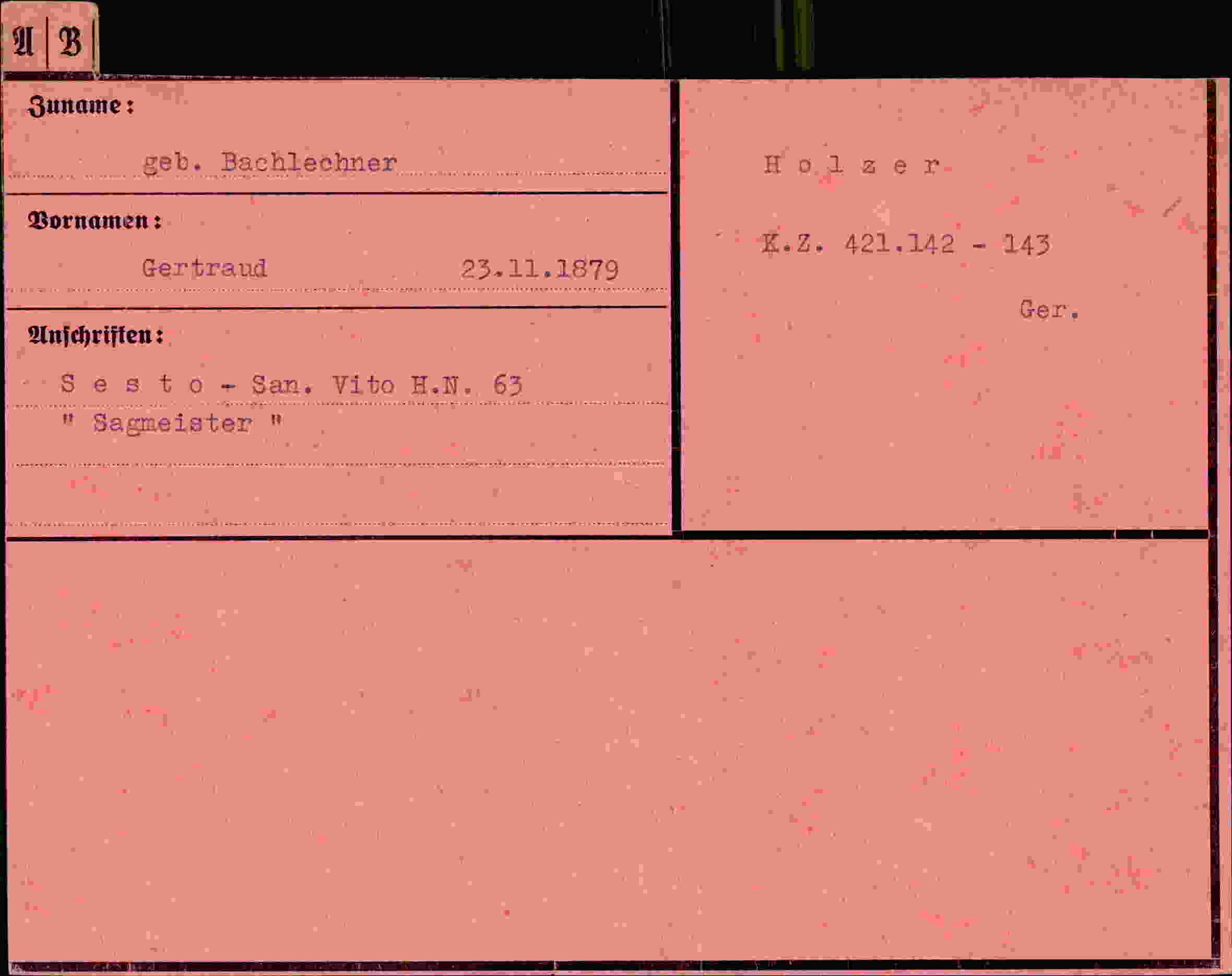 Dokument für Gertraud Bachlechner