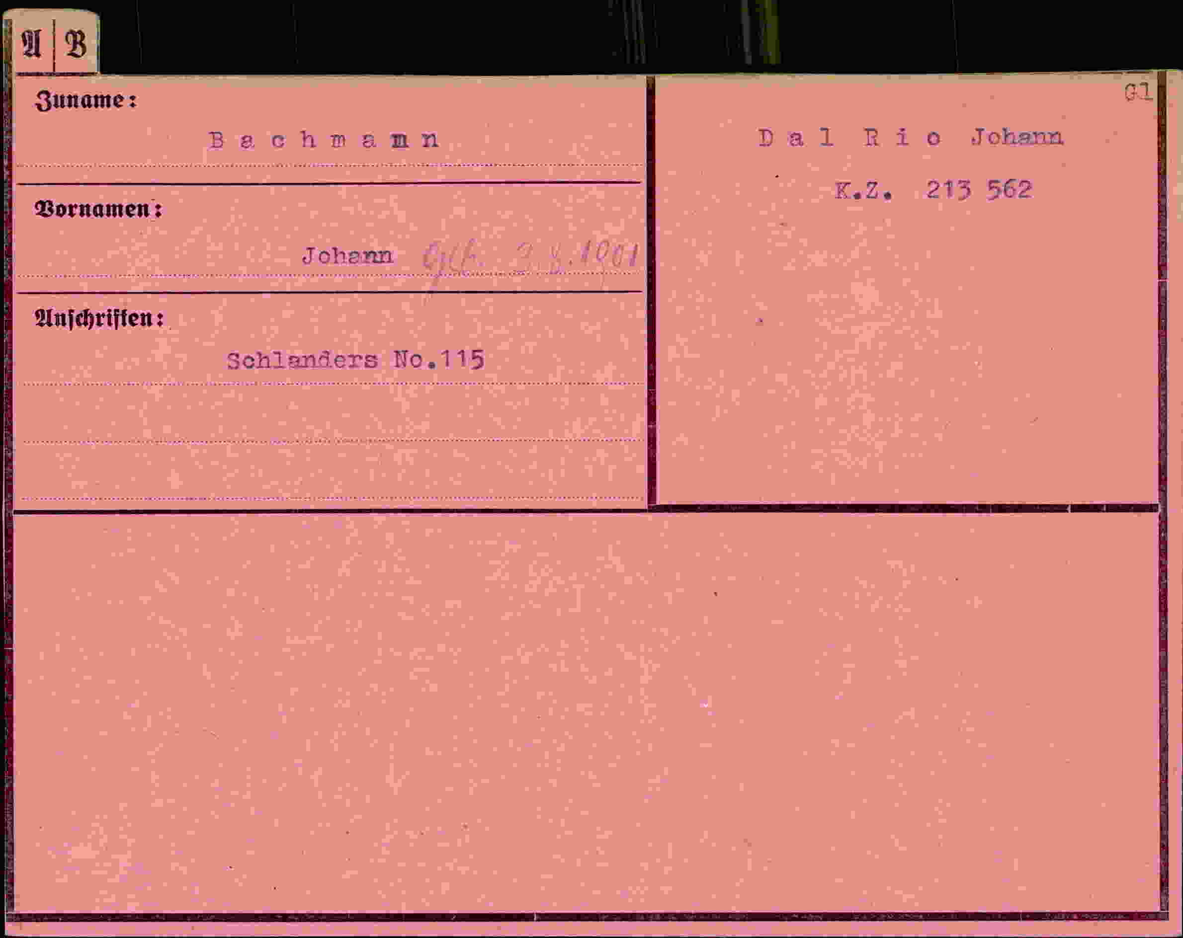 Dokument für Johann Bachmann