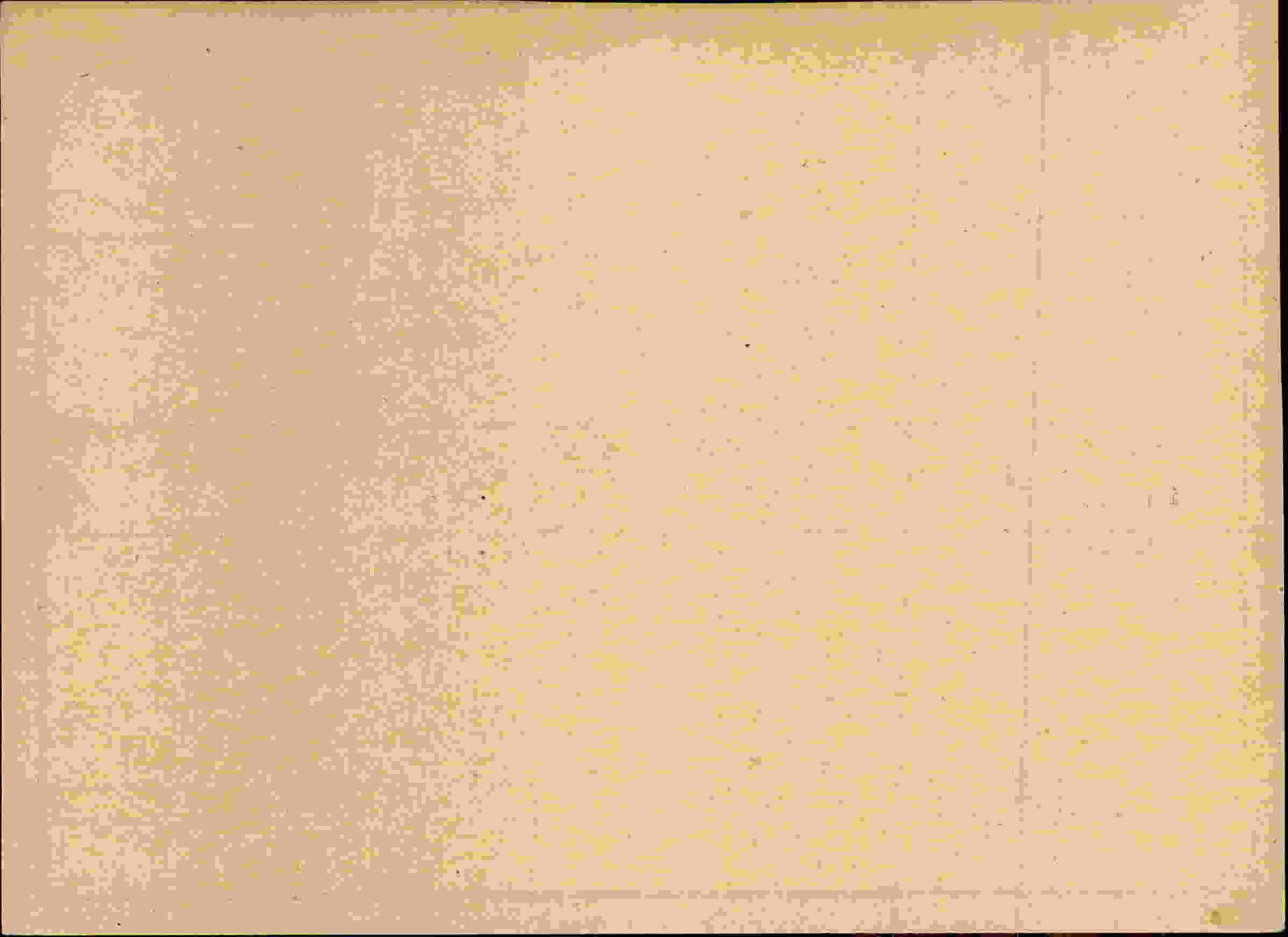 Rückseite des Dokuments