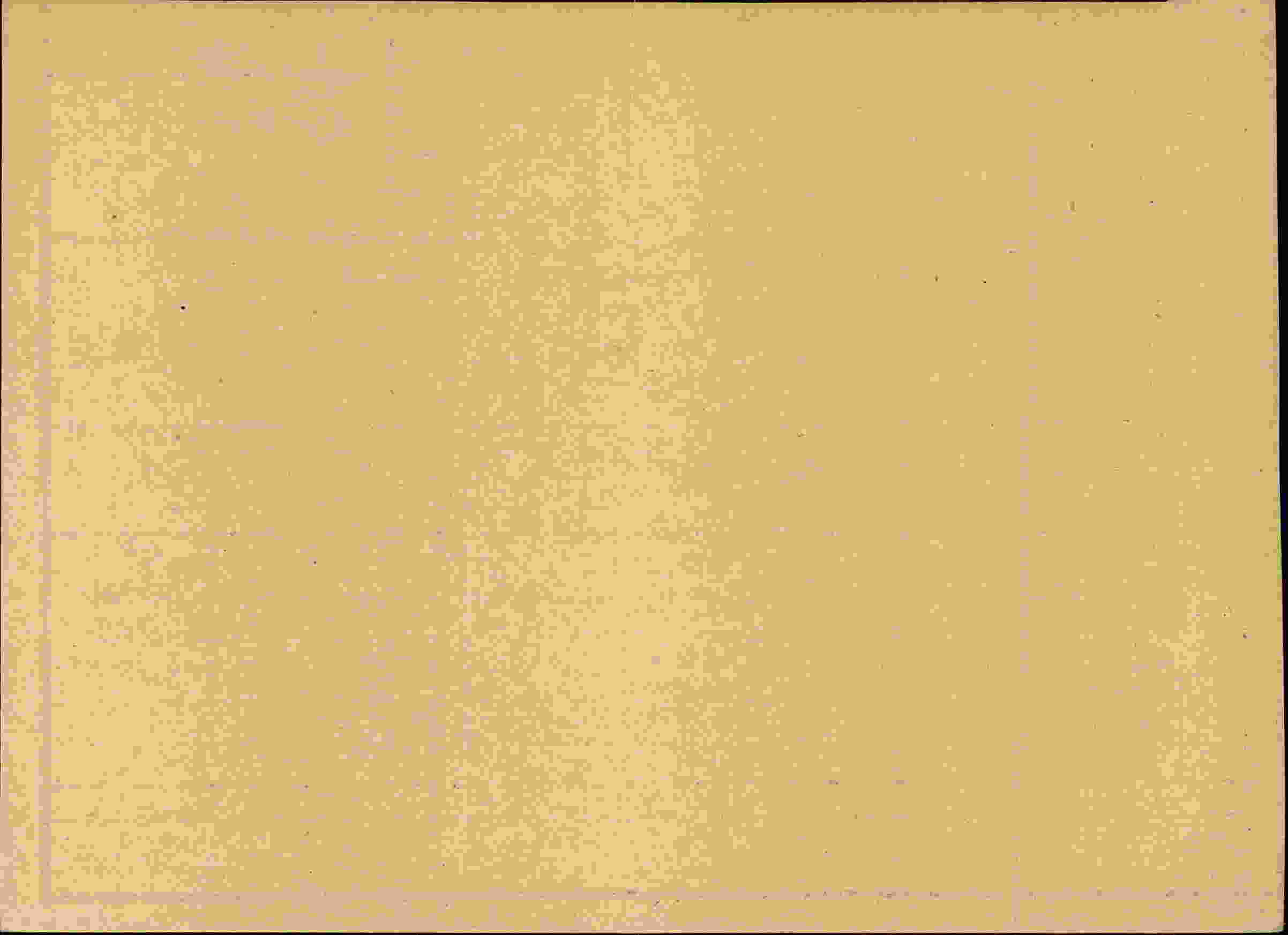 Rückseite des Dokuments