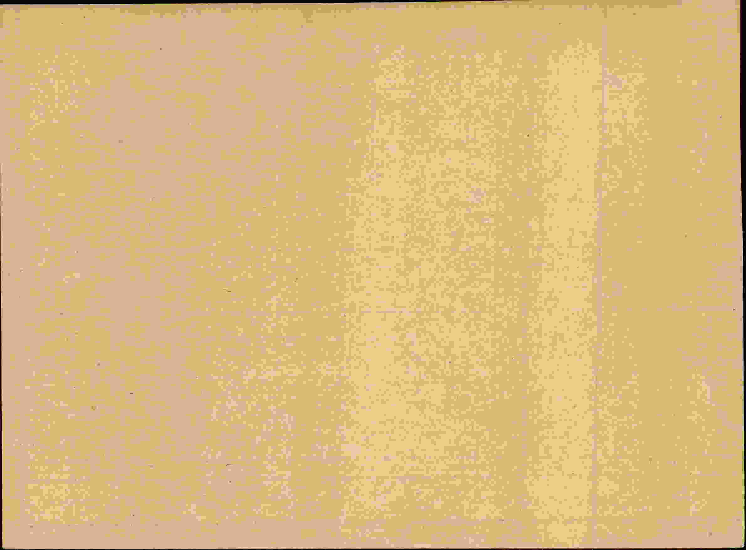 Rückseite des Dokuments