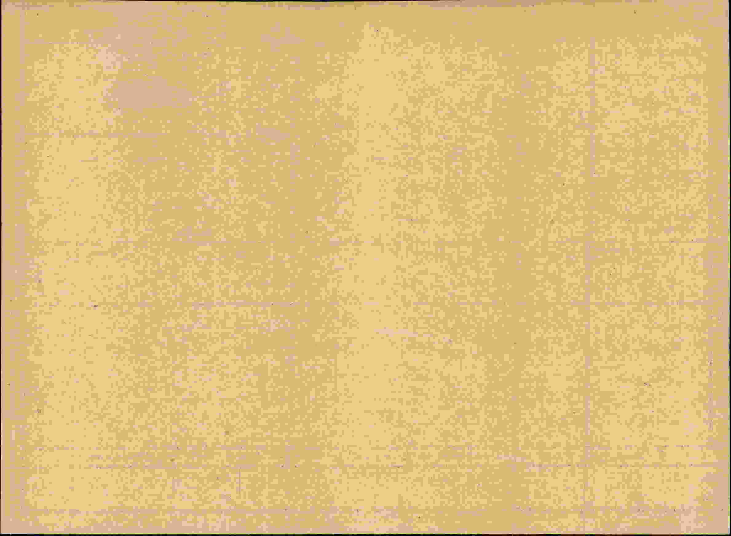 Rückseite des Dokuments
