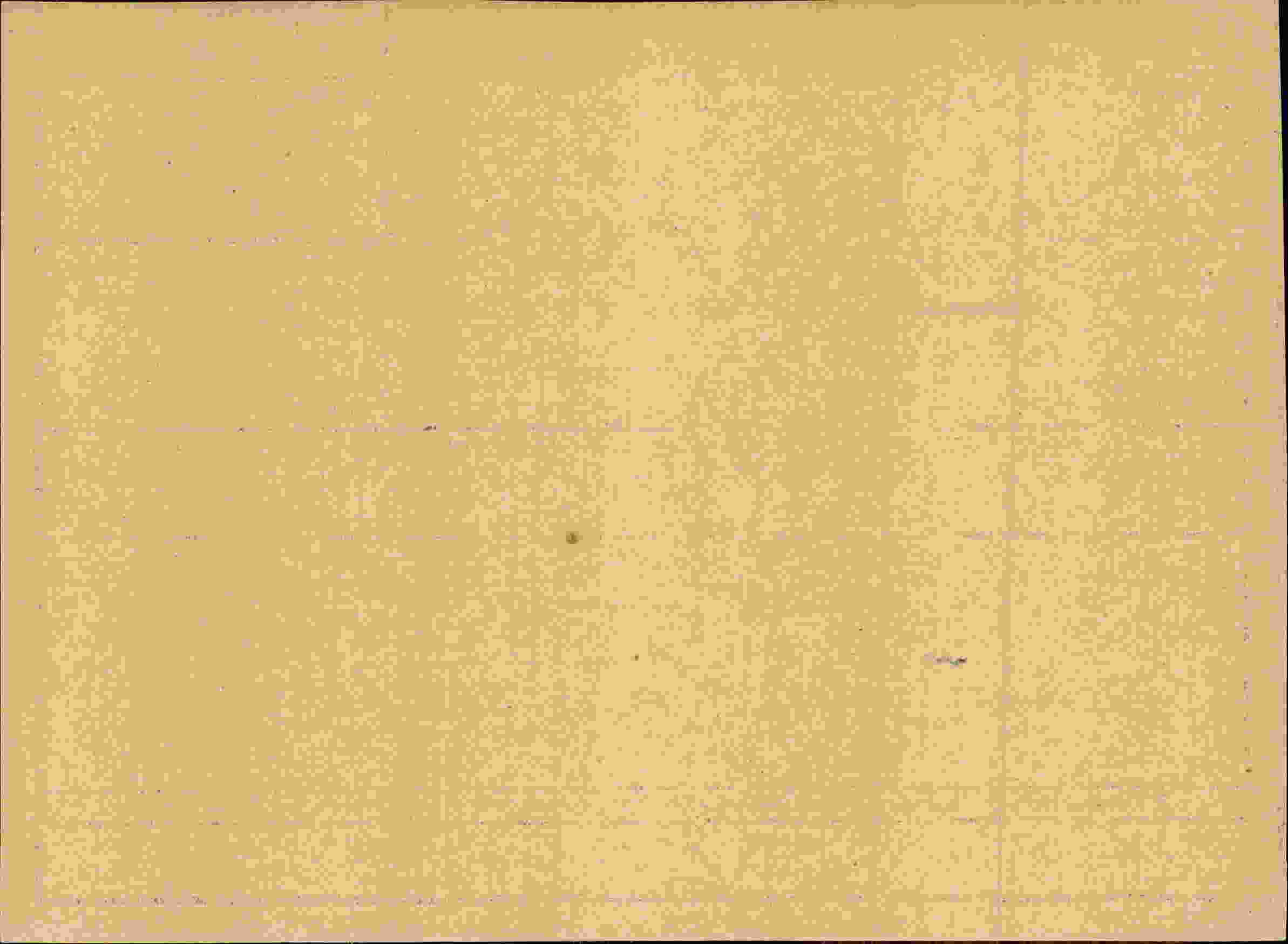 Rückseite des Dokuments
