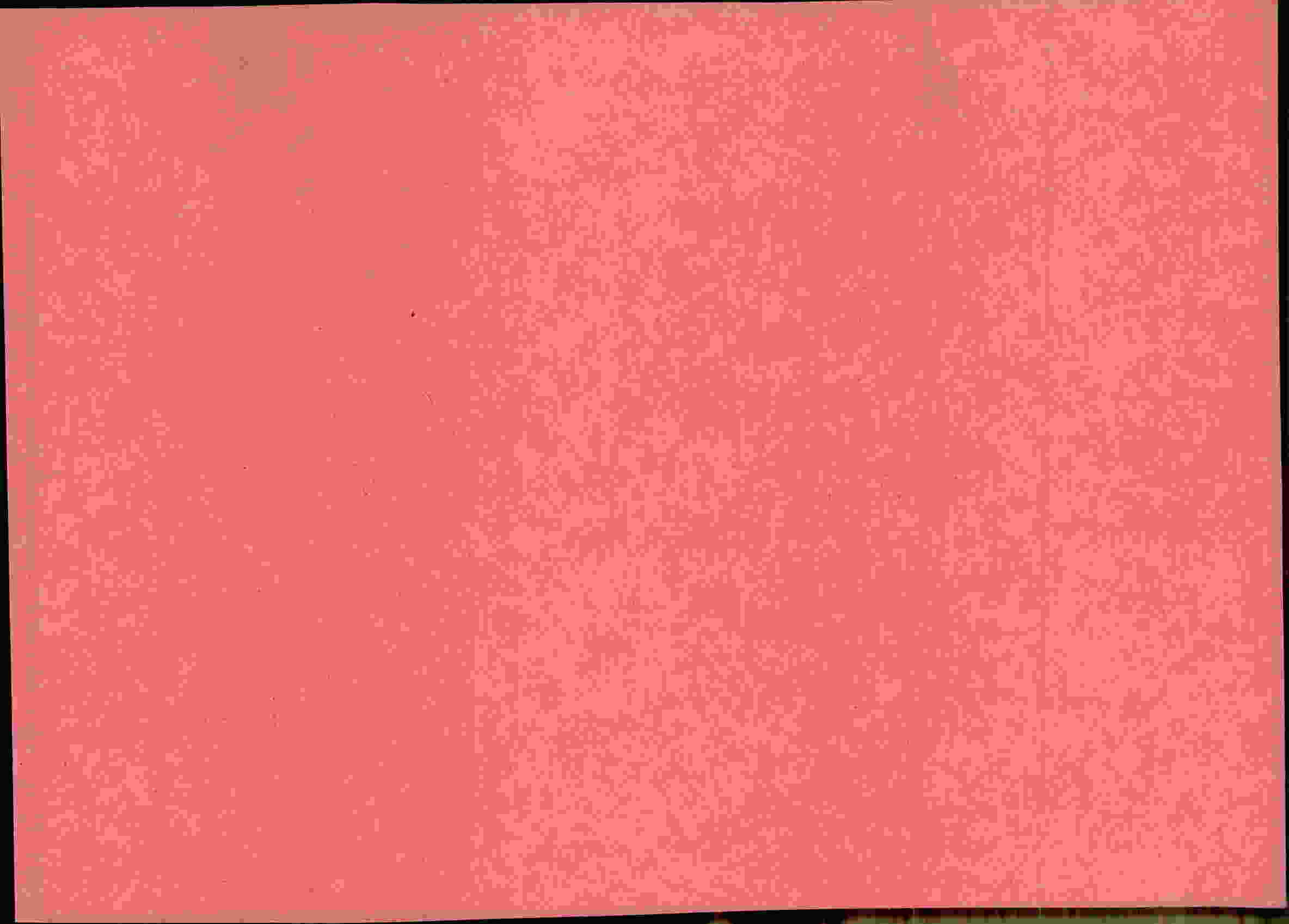Rückseite