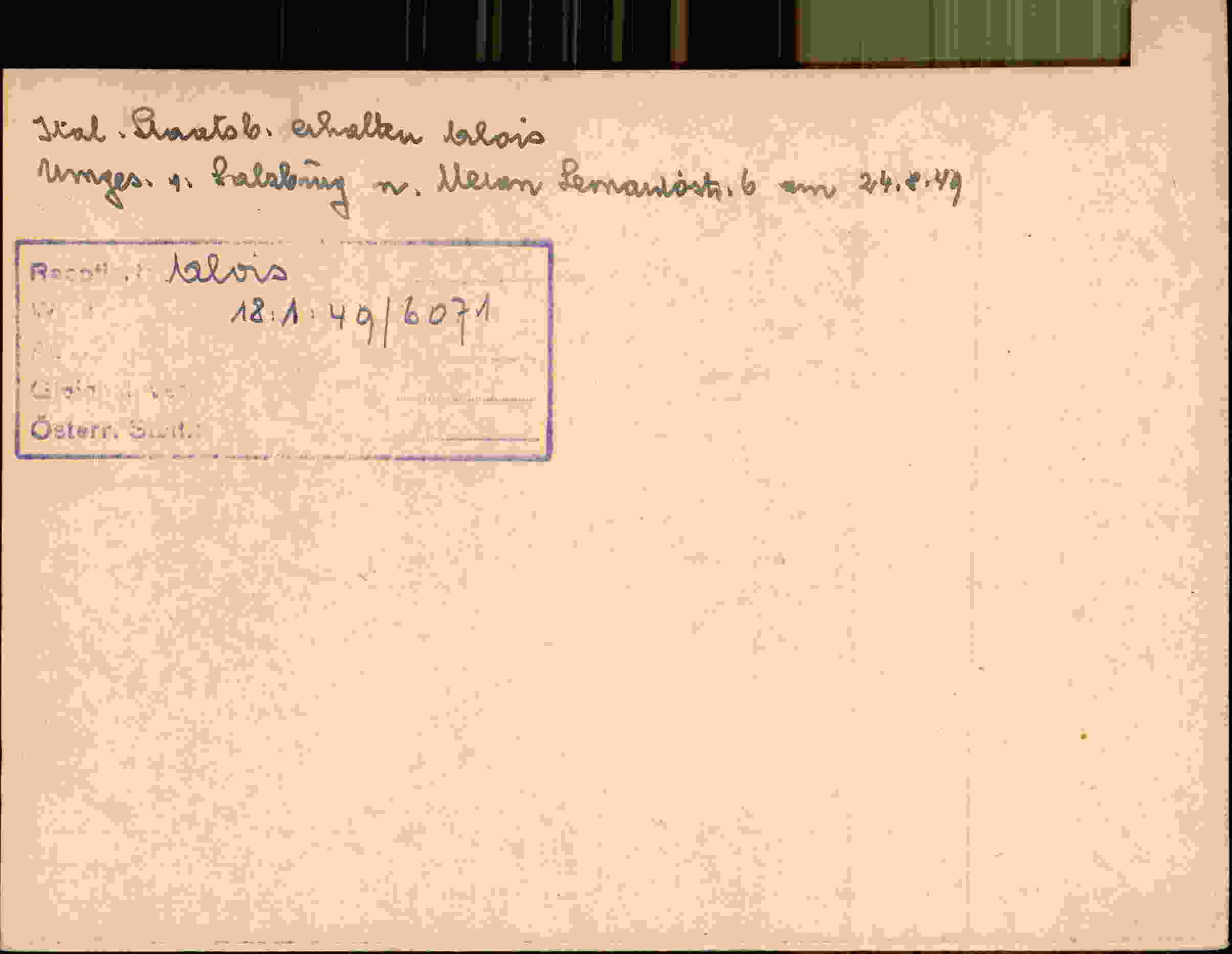 Rückseite des Dokuments