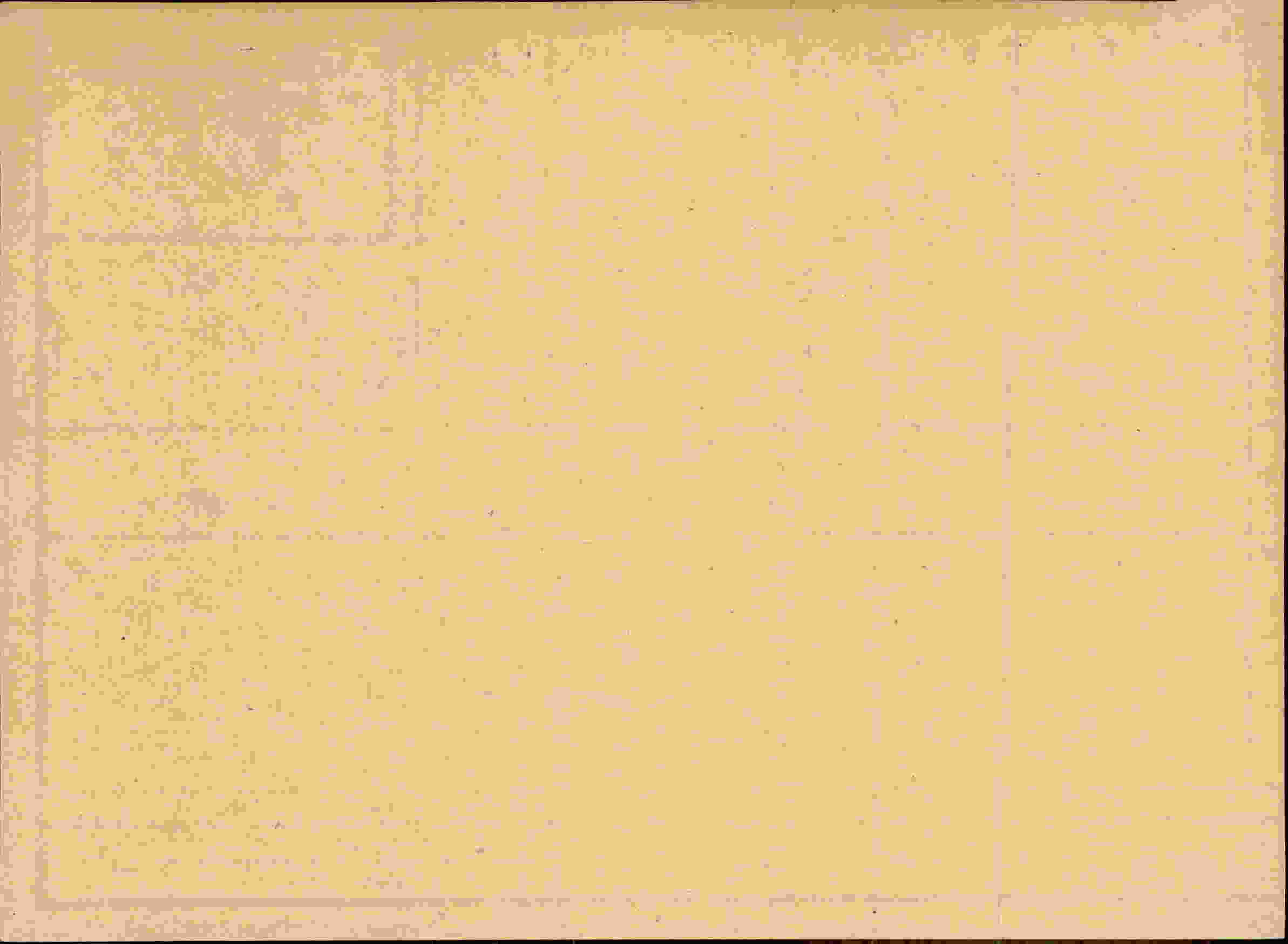 Rückseite des Dokuments