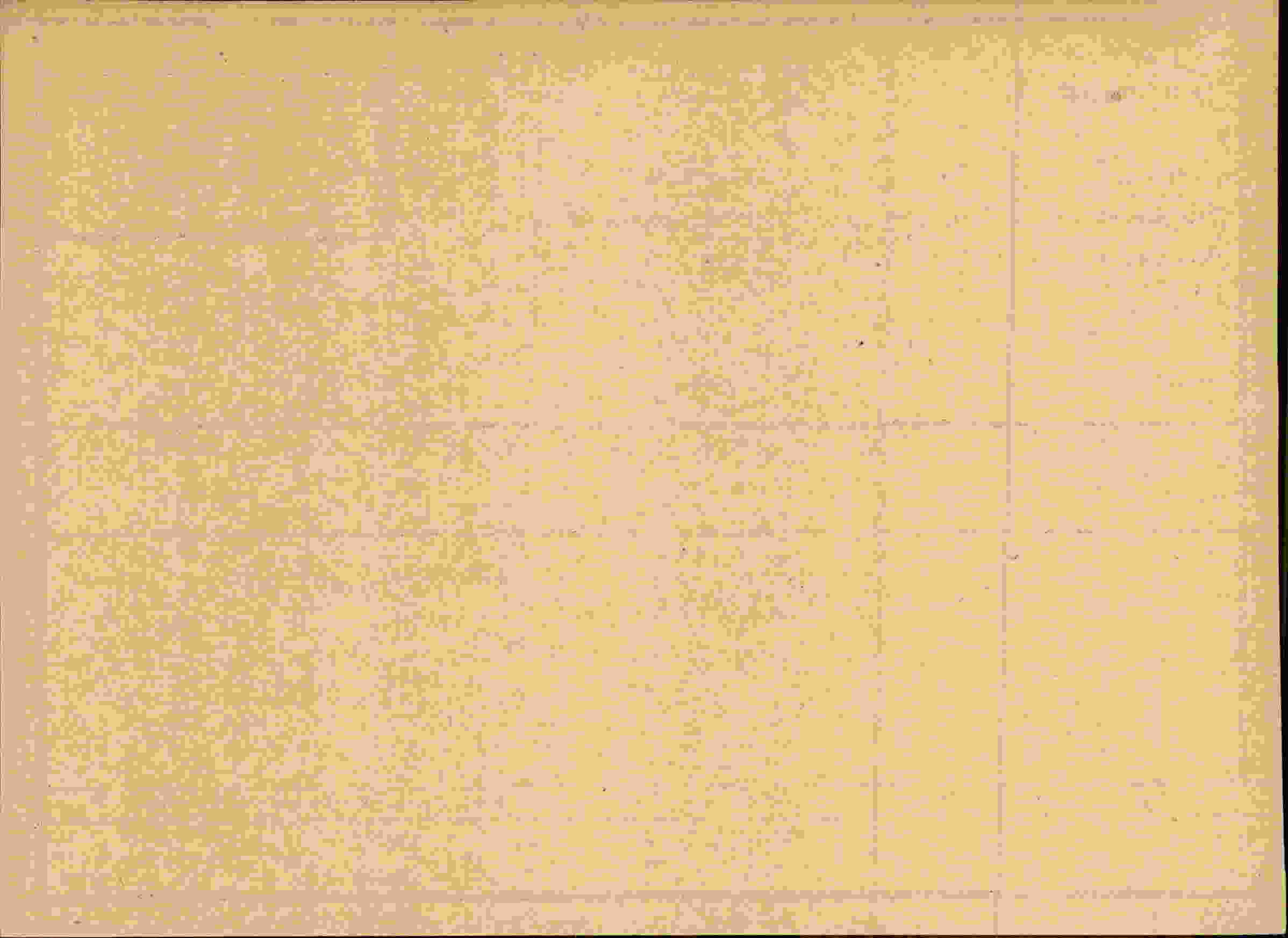 Rückseite des Dokuments