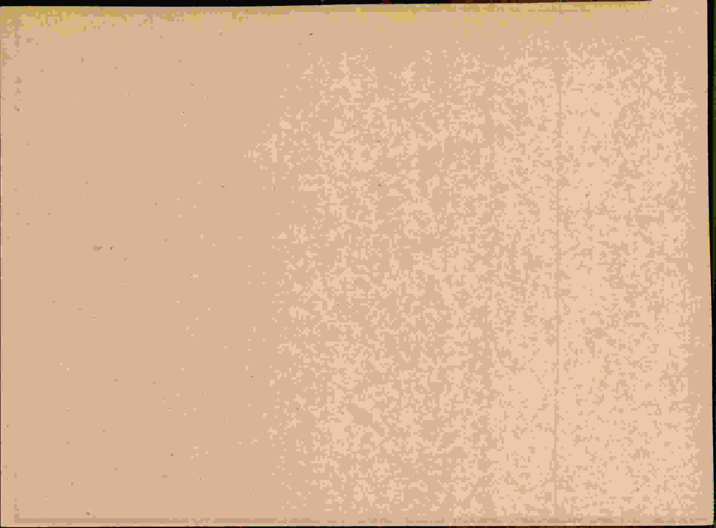 Rückseite des Dokuments