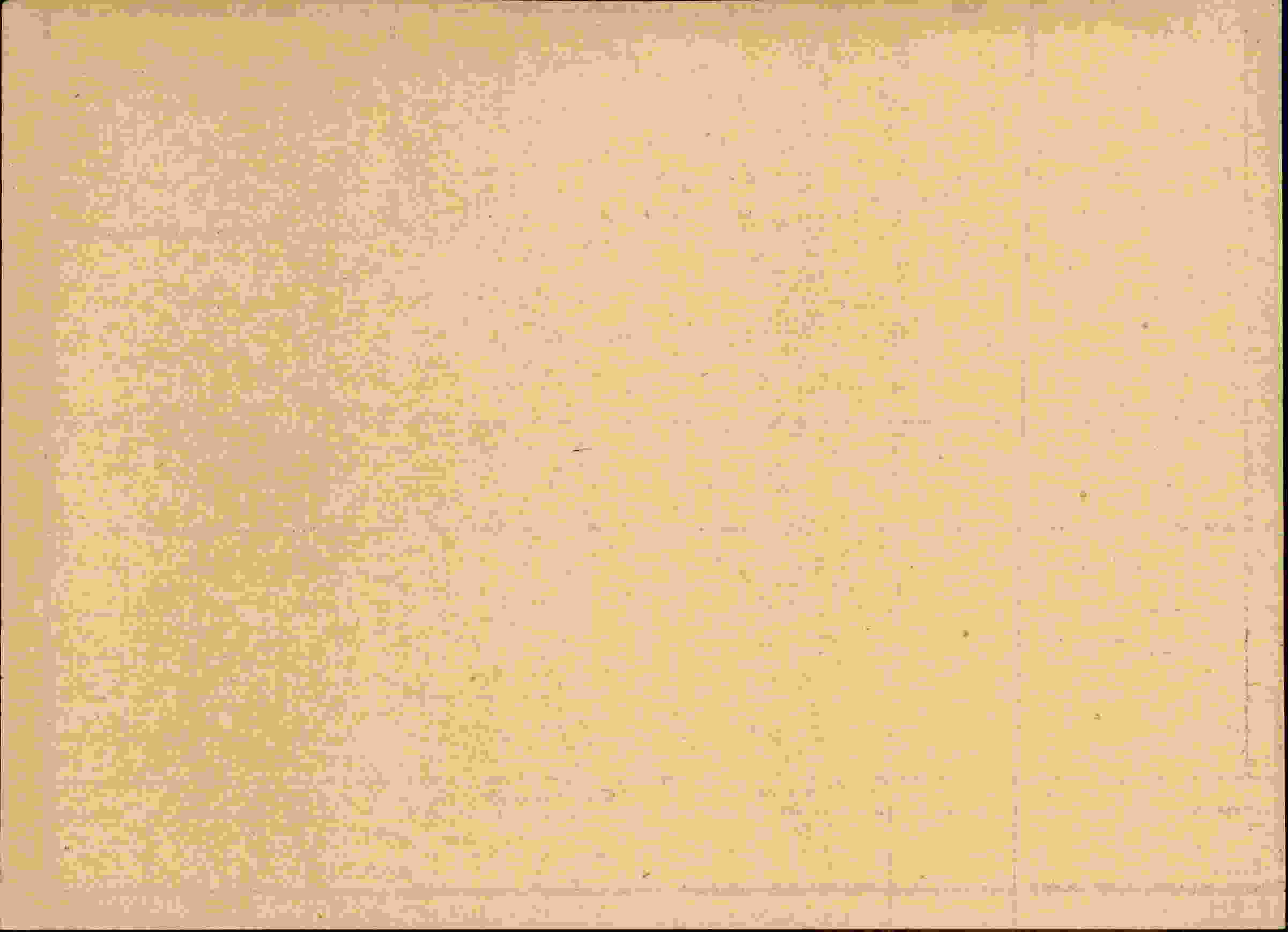 Rückseite des Dokuments