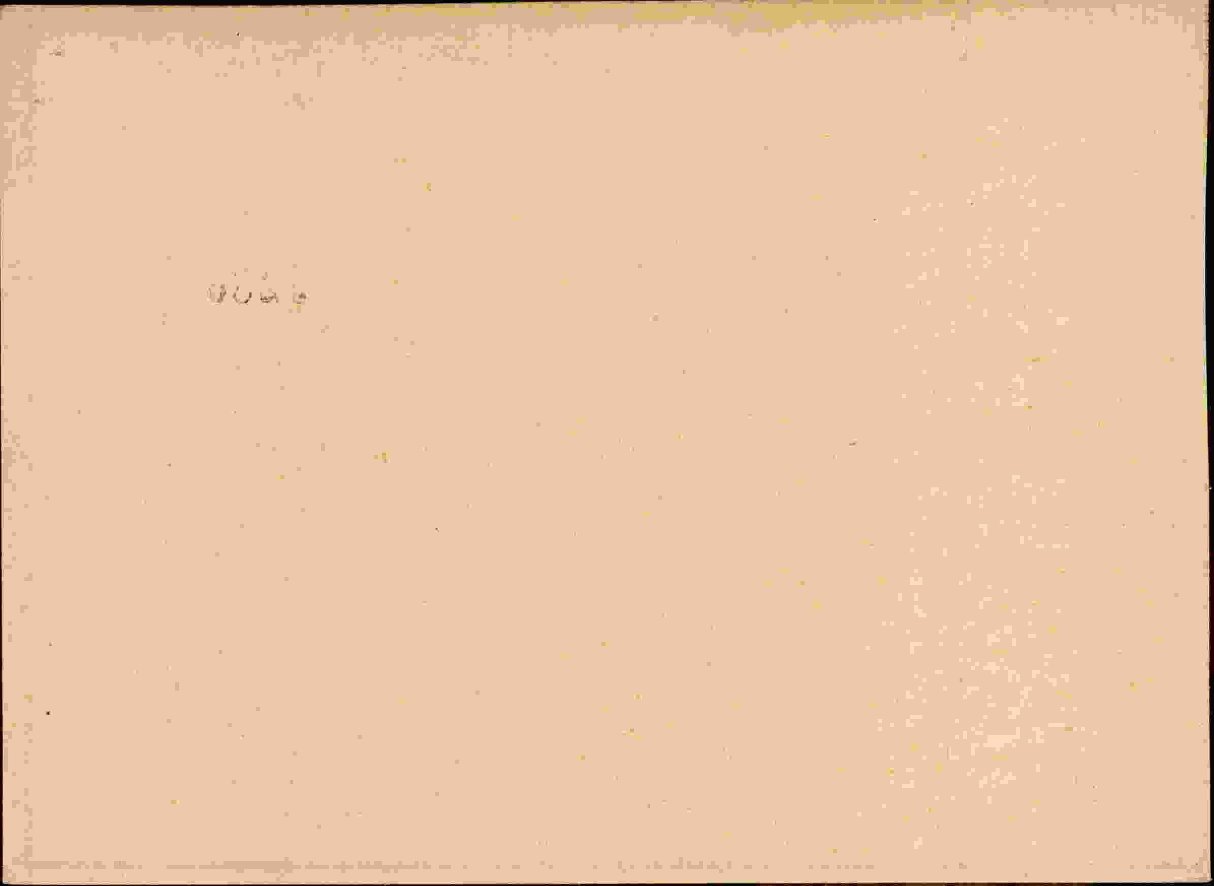 Rückseite des Dokuments