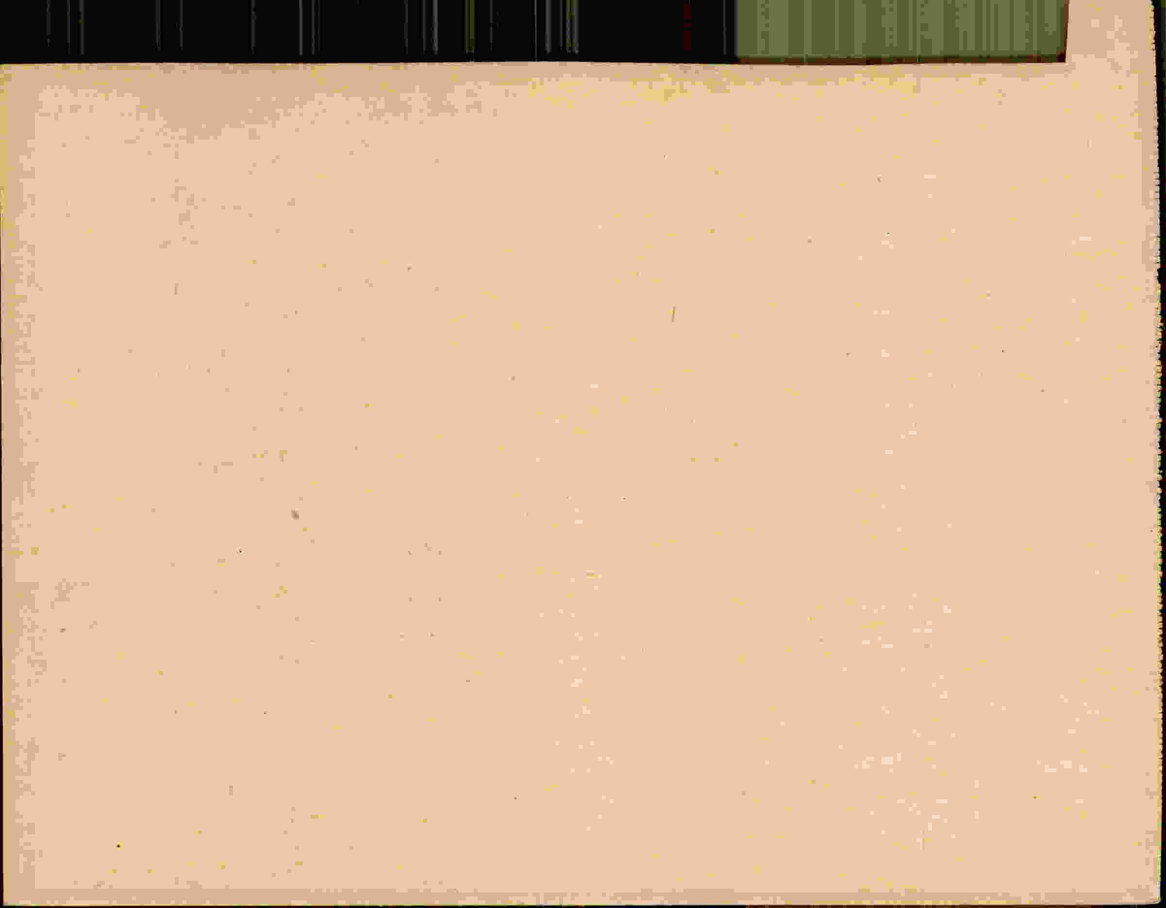 Rückseite des Dokuments