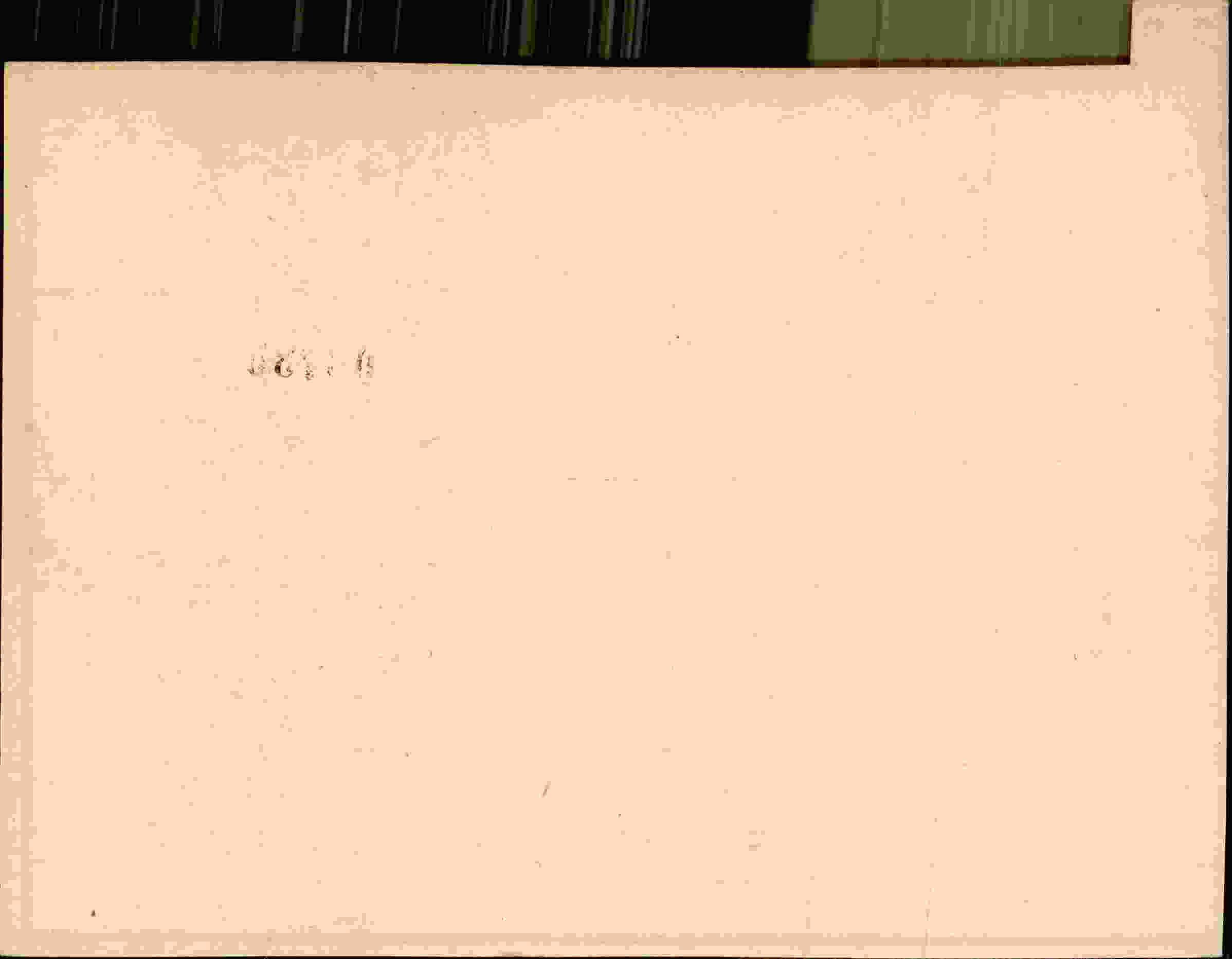 Rückseite des Dokuments