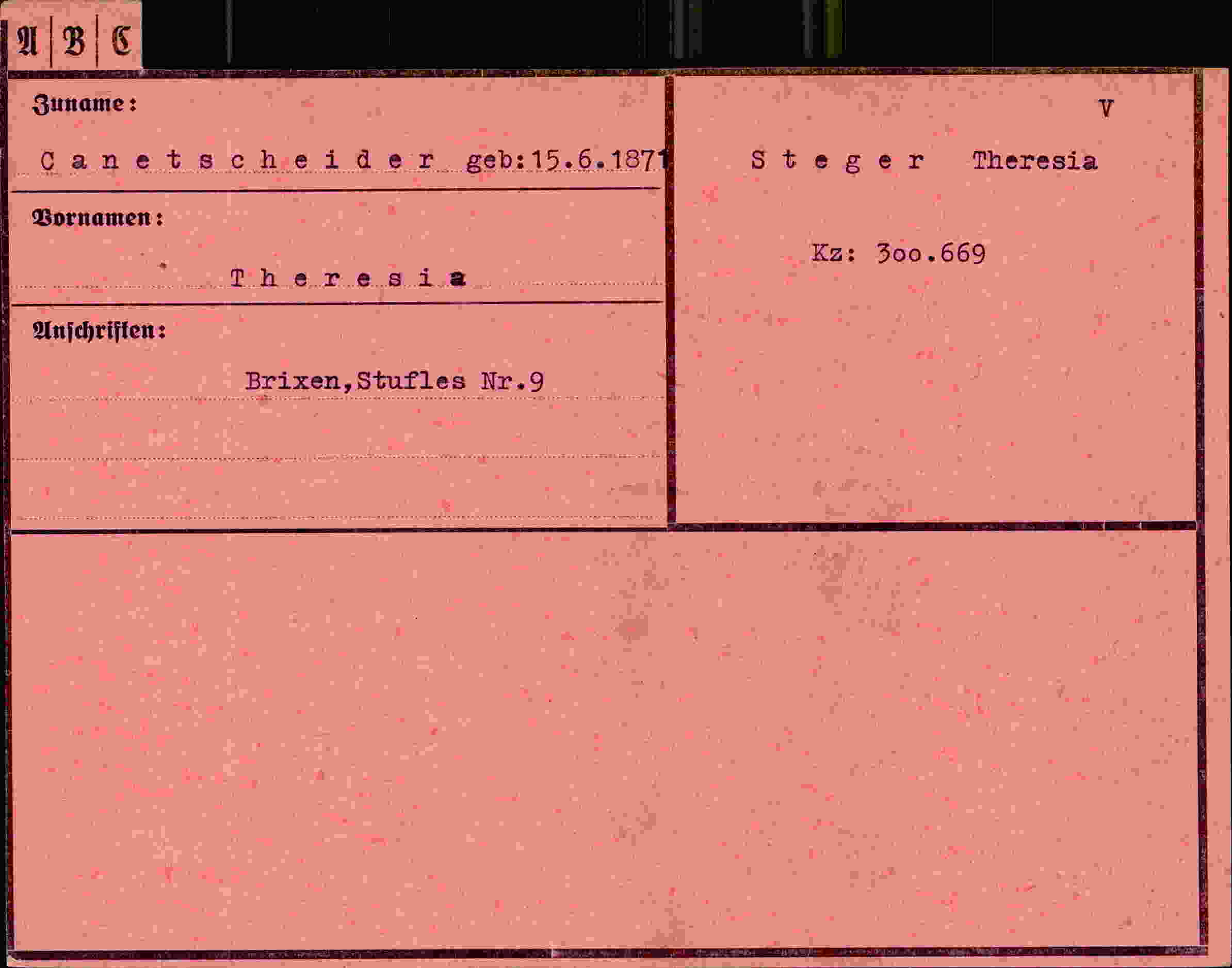 Dokument für Theresia Canetscheider