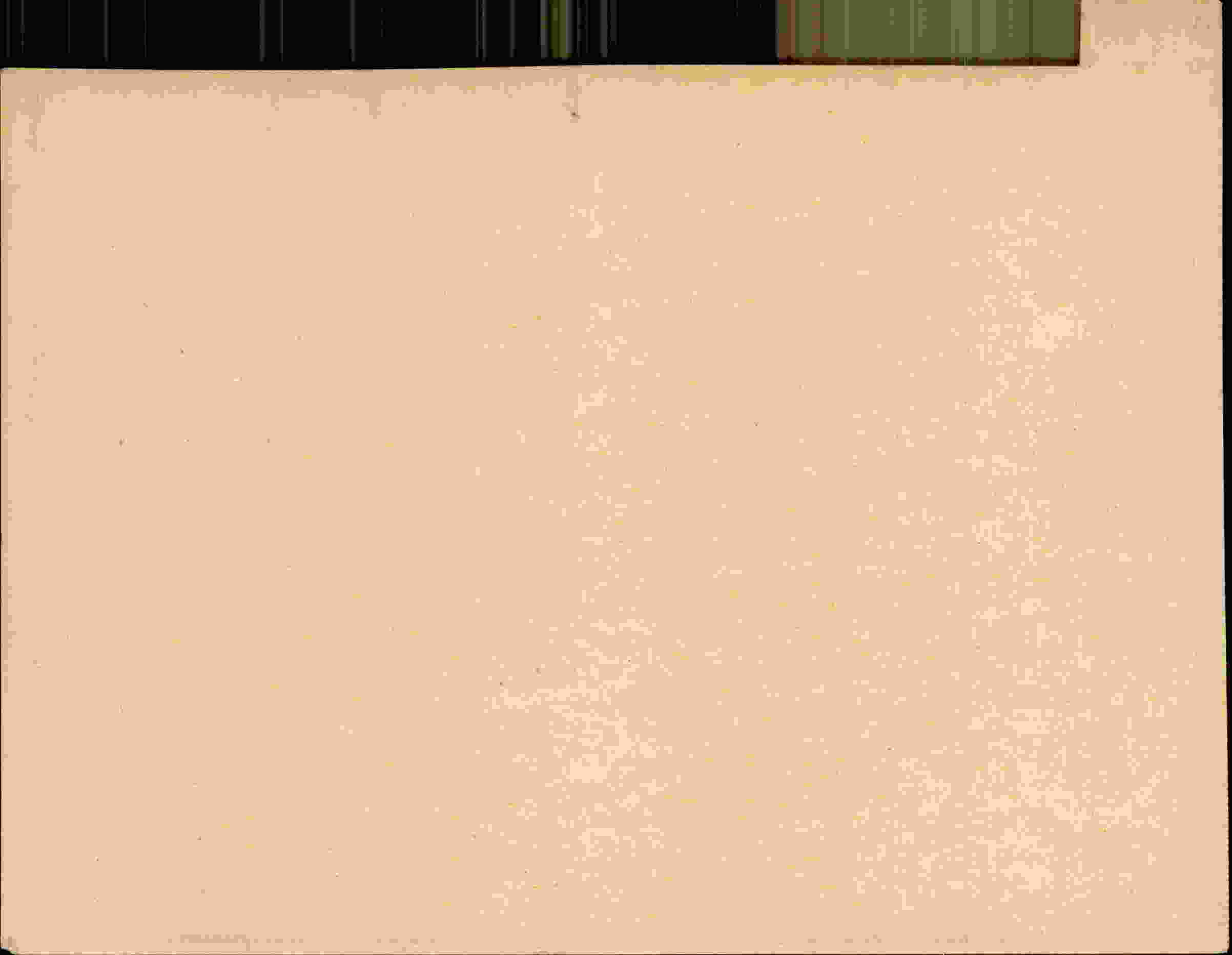 Rückseite des Dokuments
