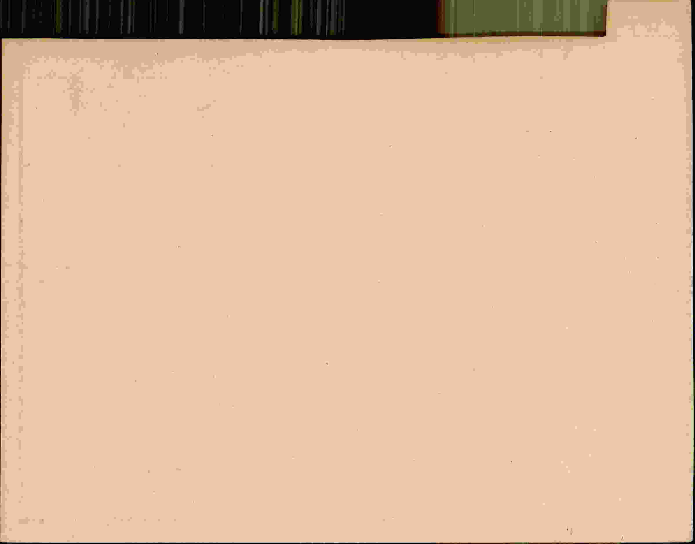 Rückseite des Dokuments