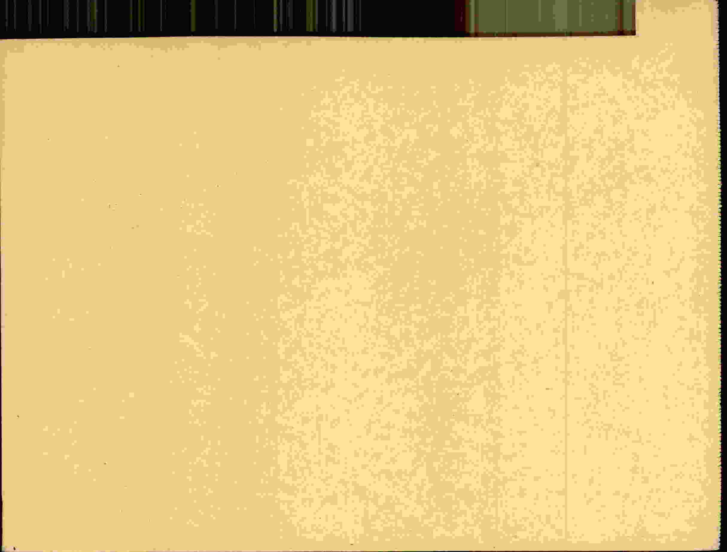 Rückseite