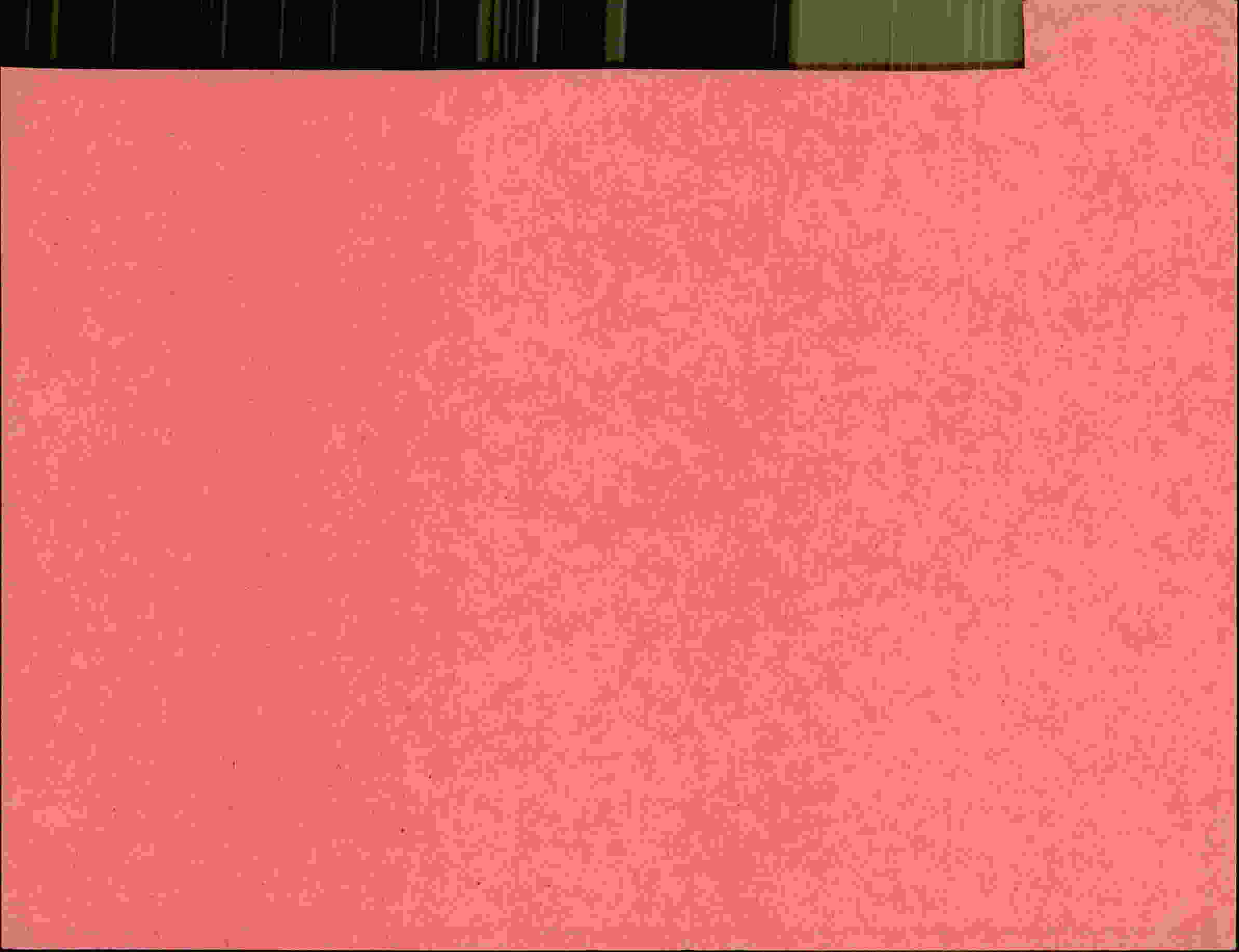 Rückseite des Dokuments