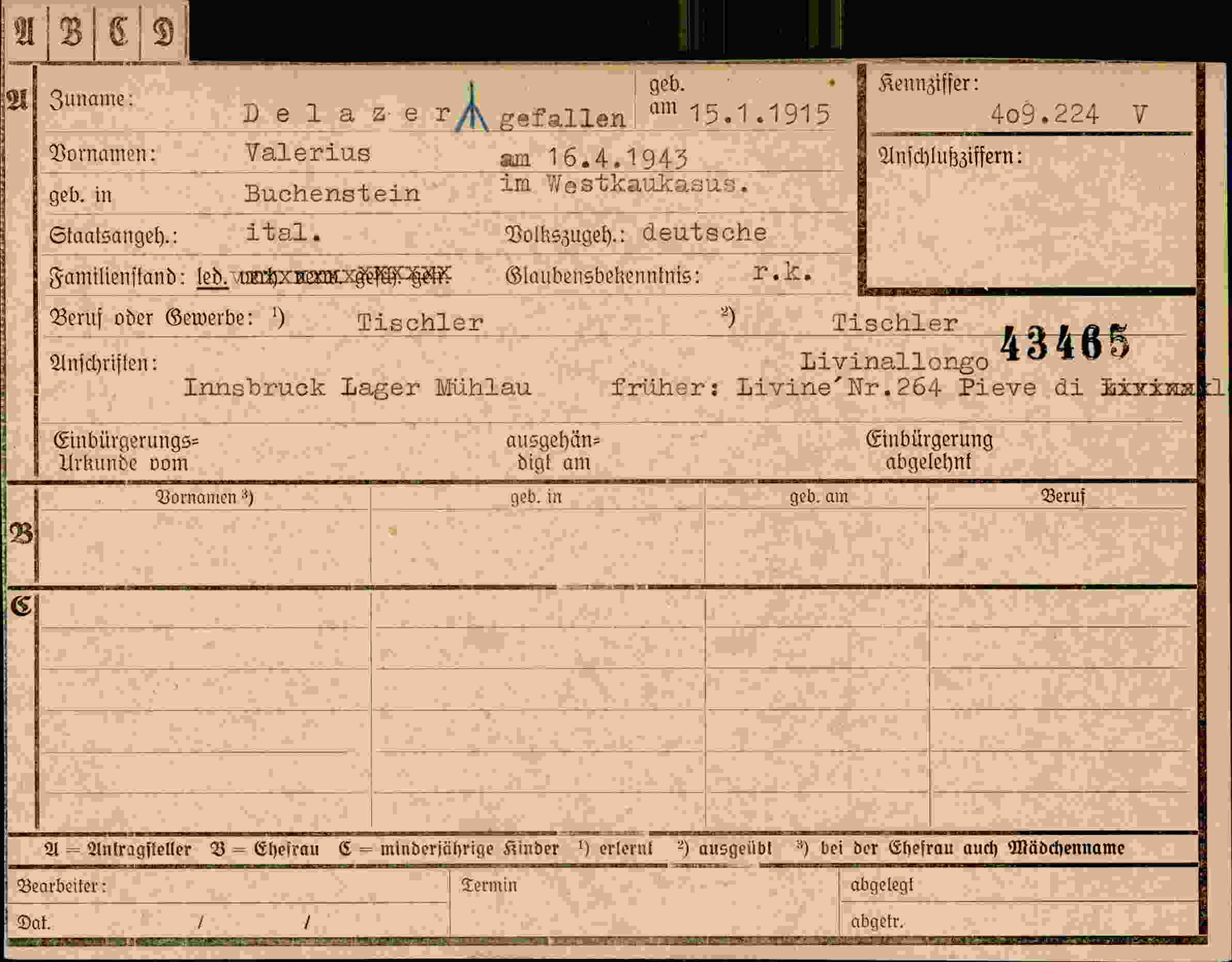 Dokument für Valerius DelazerAgefallen