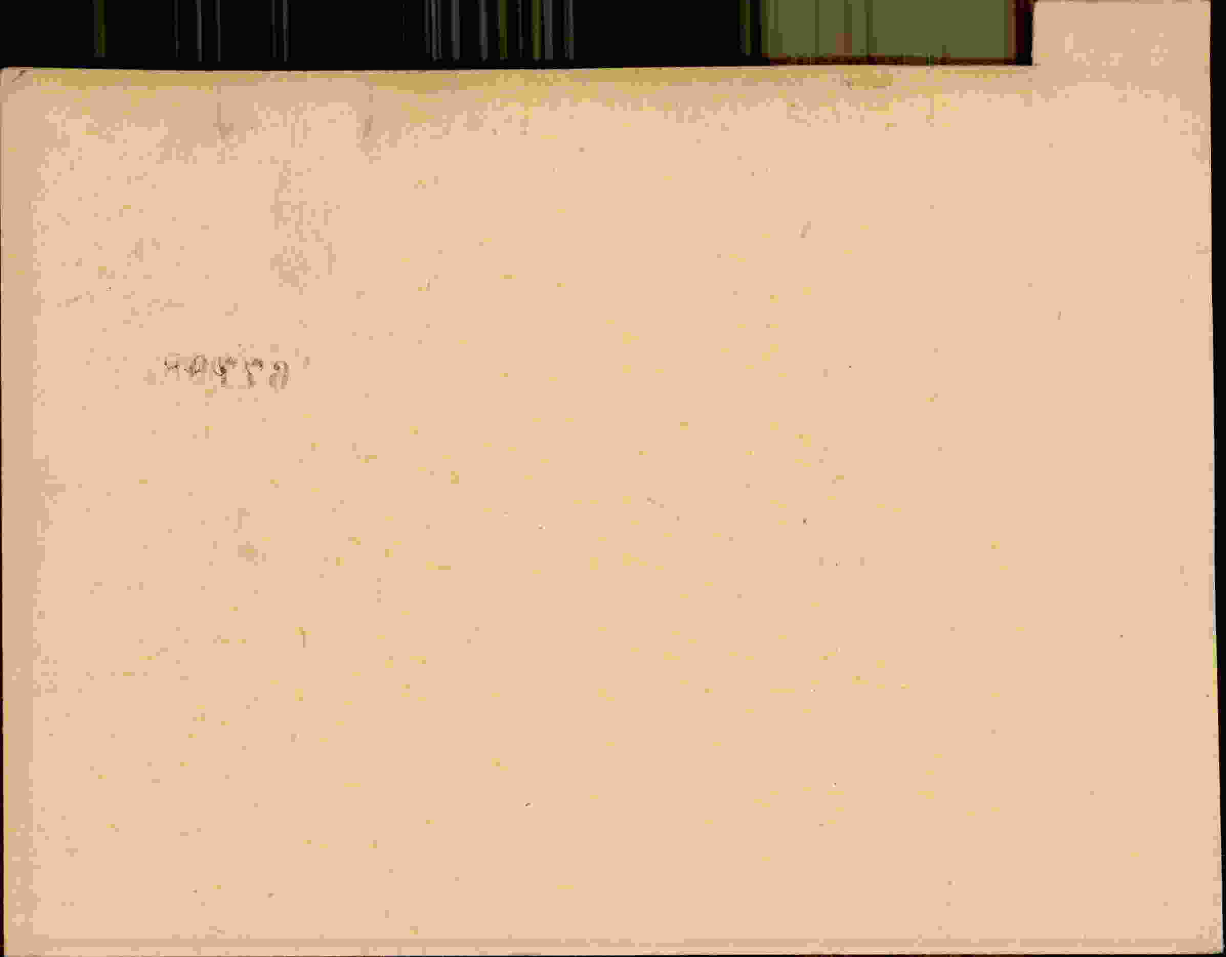 Rückseite