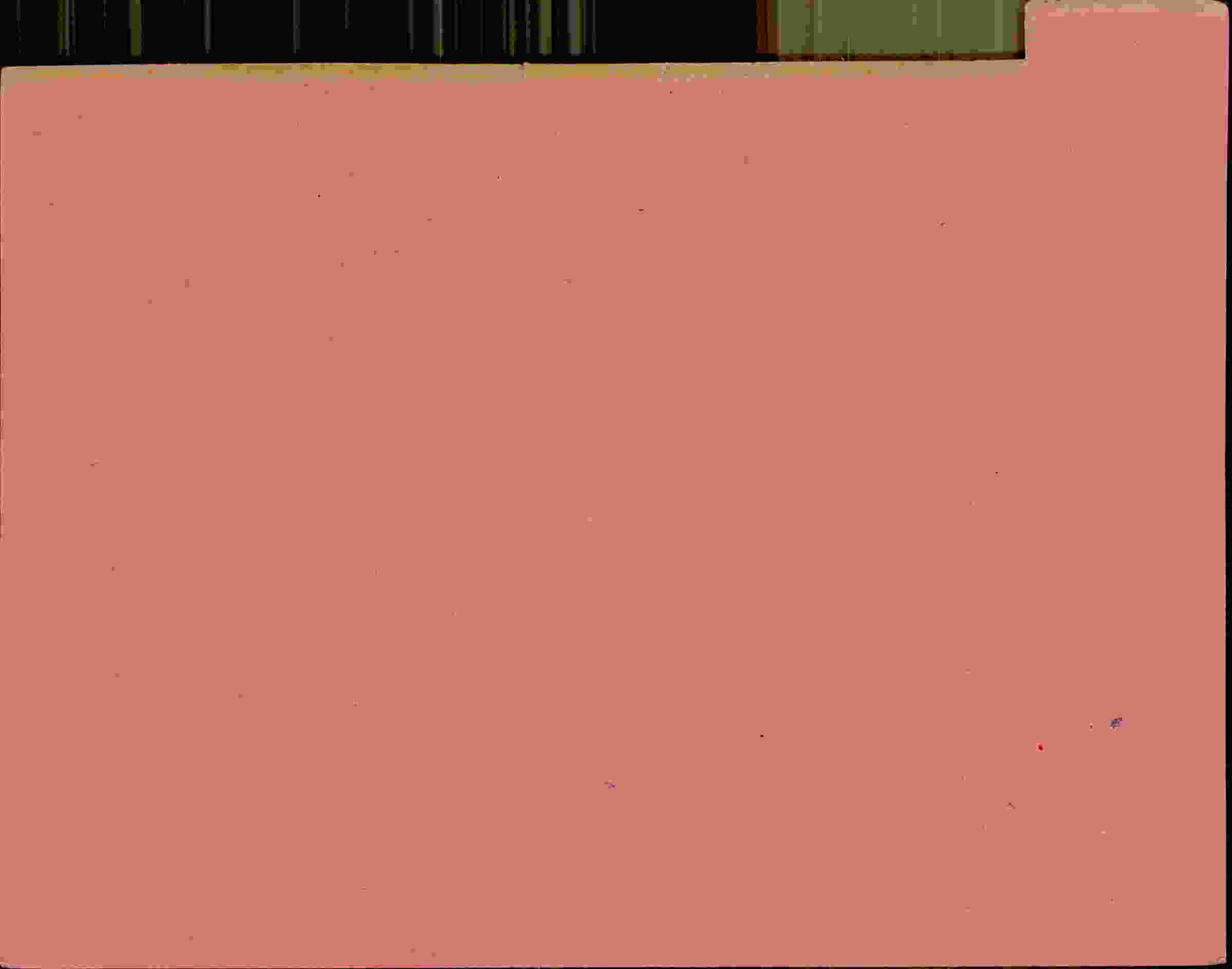 Rückseite des Dokuments