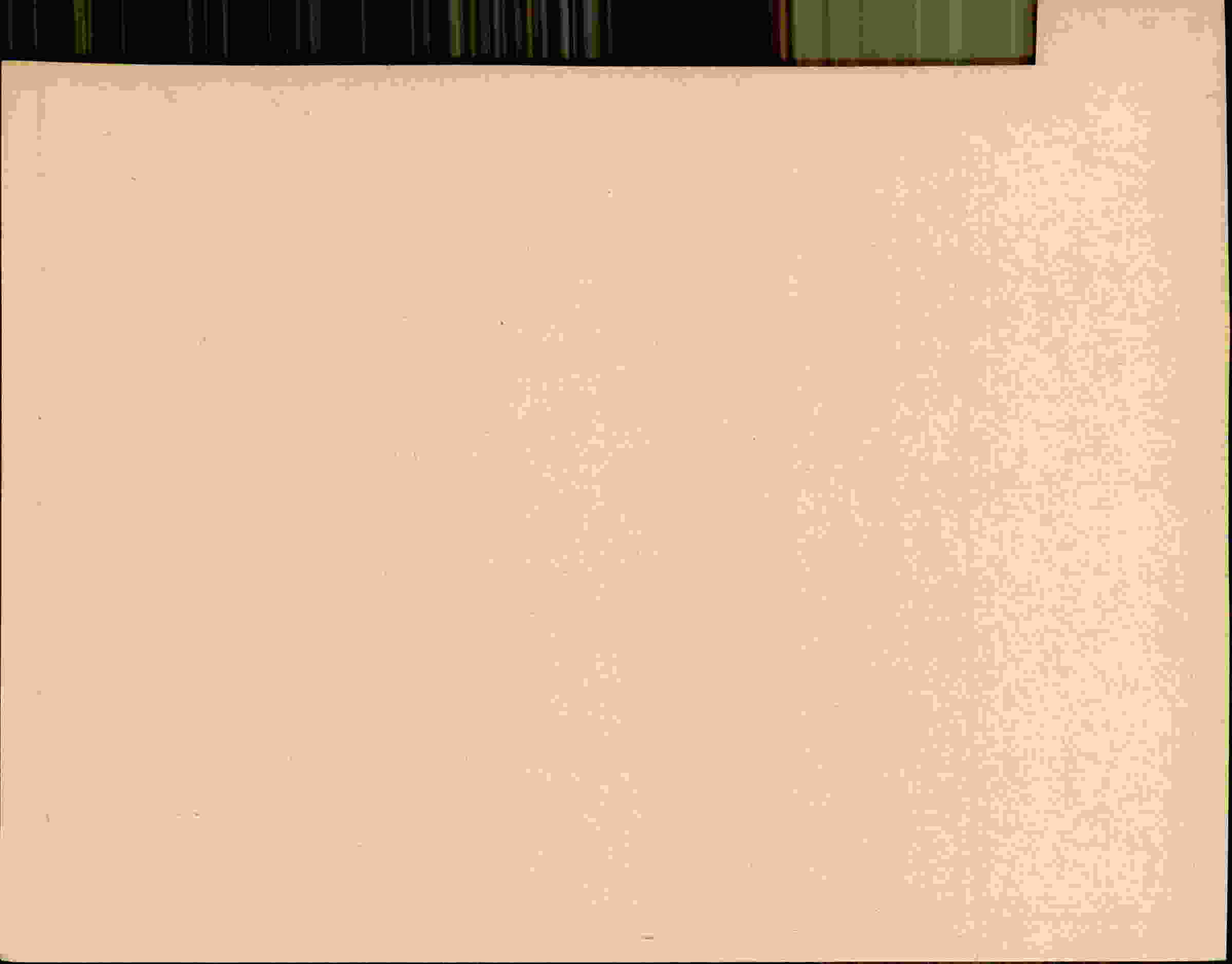 Rückseite des Dokuments