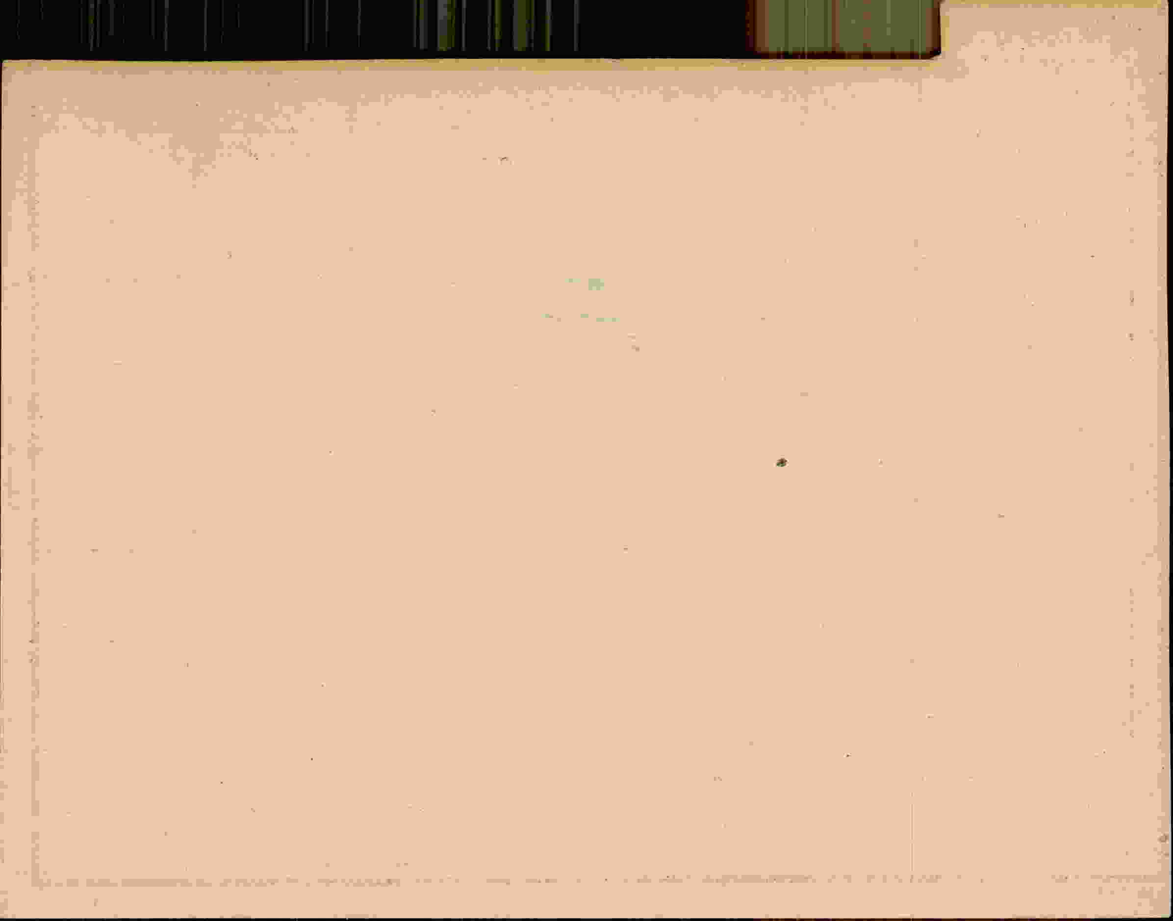 Rückseite des Dokuments