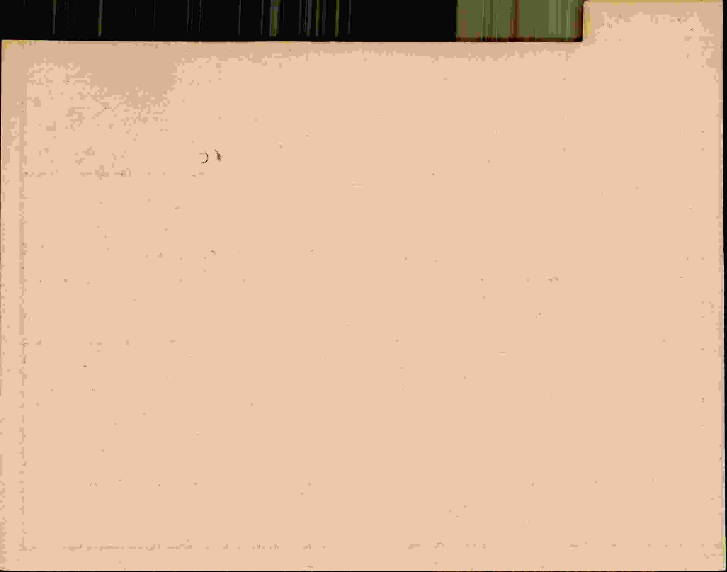 Rückseite des Dokuments