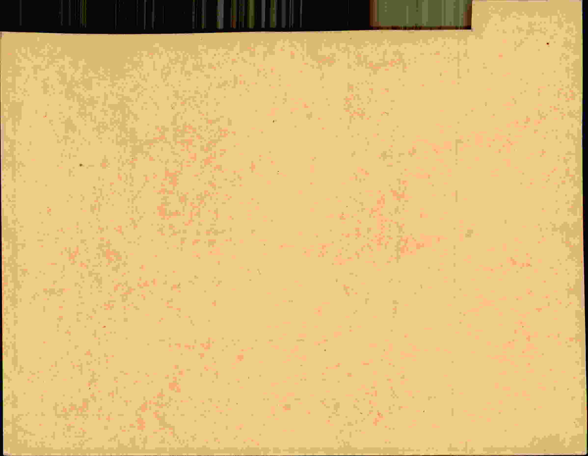 Rückseite des Dokuments