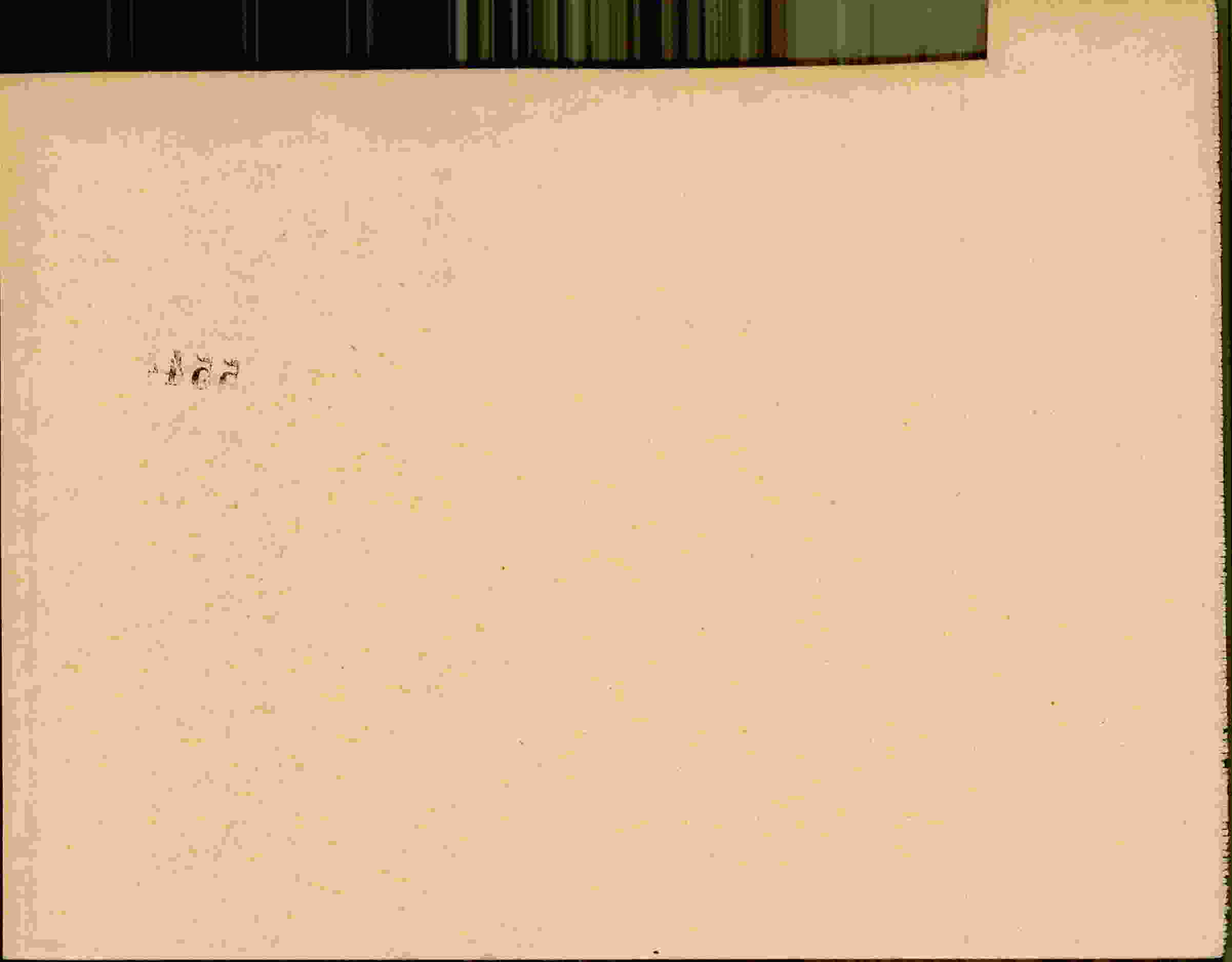 Rückseite des Dokuments