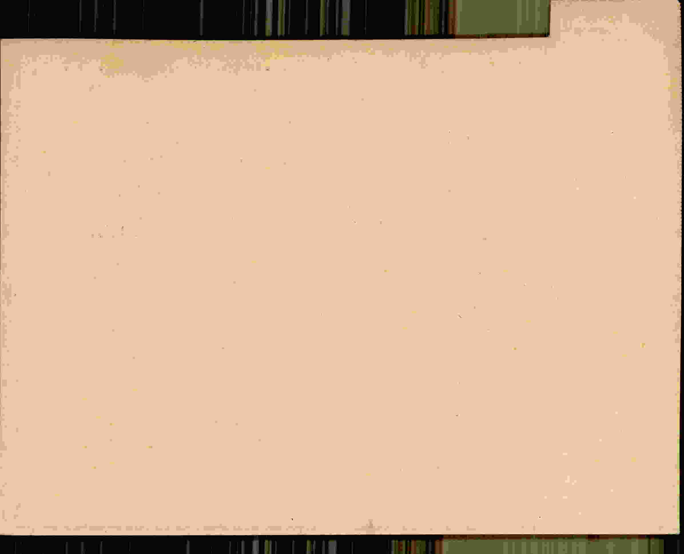 Rückseite des Dokuments