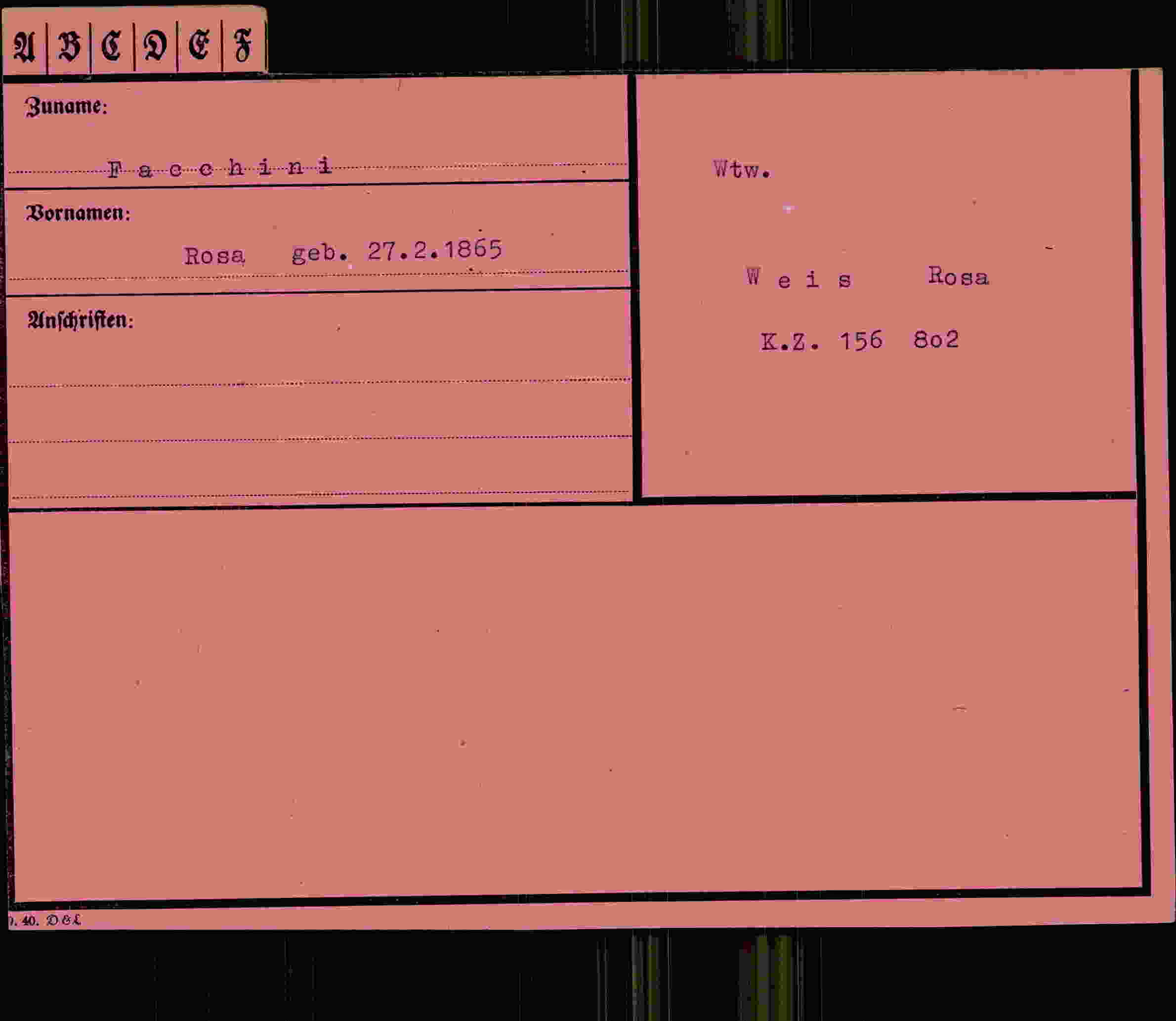 Dokument für Rosa Fachini